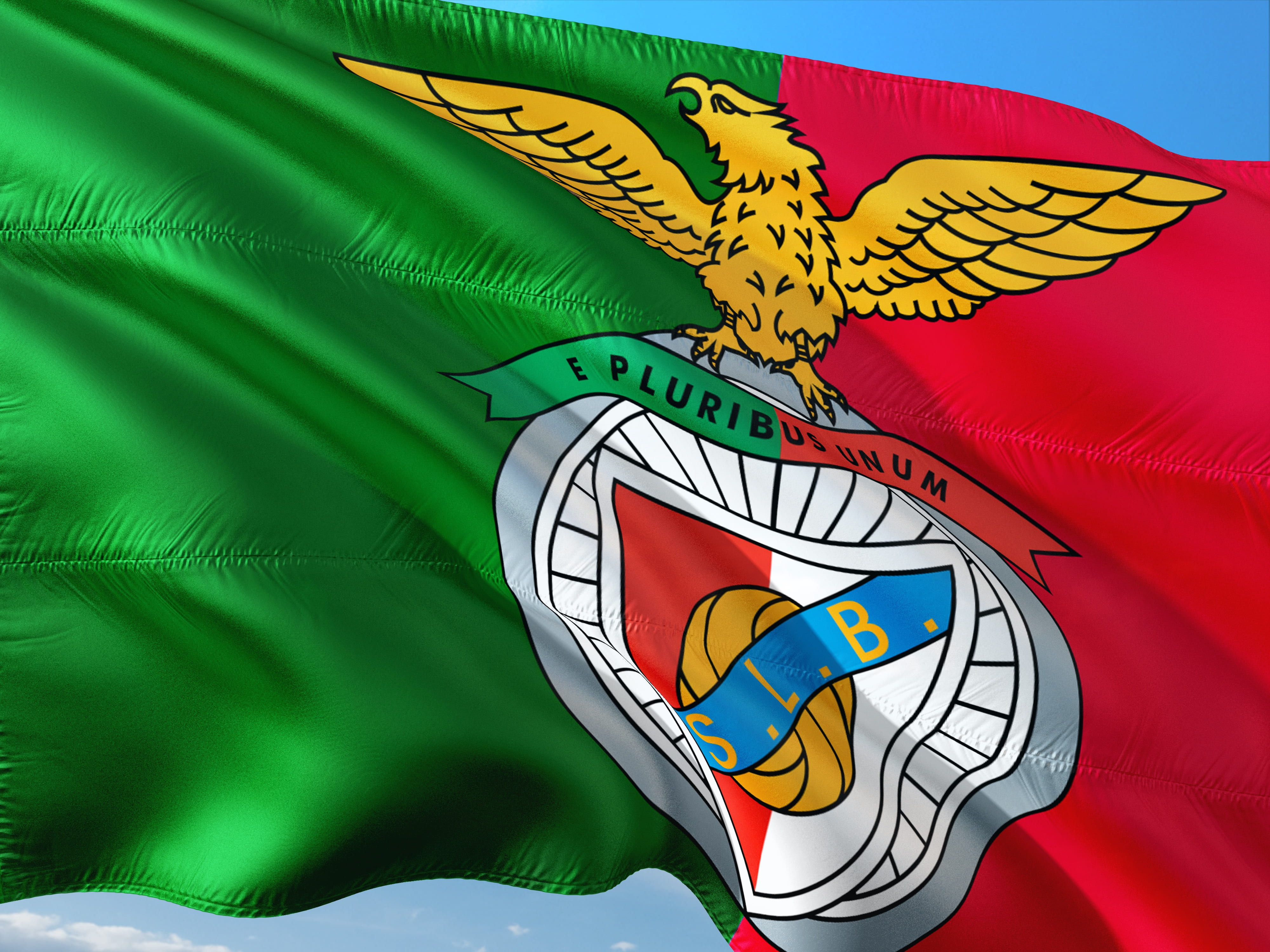 soccer, football, animal wing, 4K, champions league, beauty in nature, outdoors, cartoon, animal wildlife, multi colored, green color, benfica lisbon, HD Wallpaper