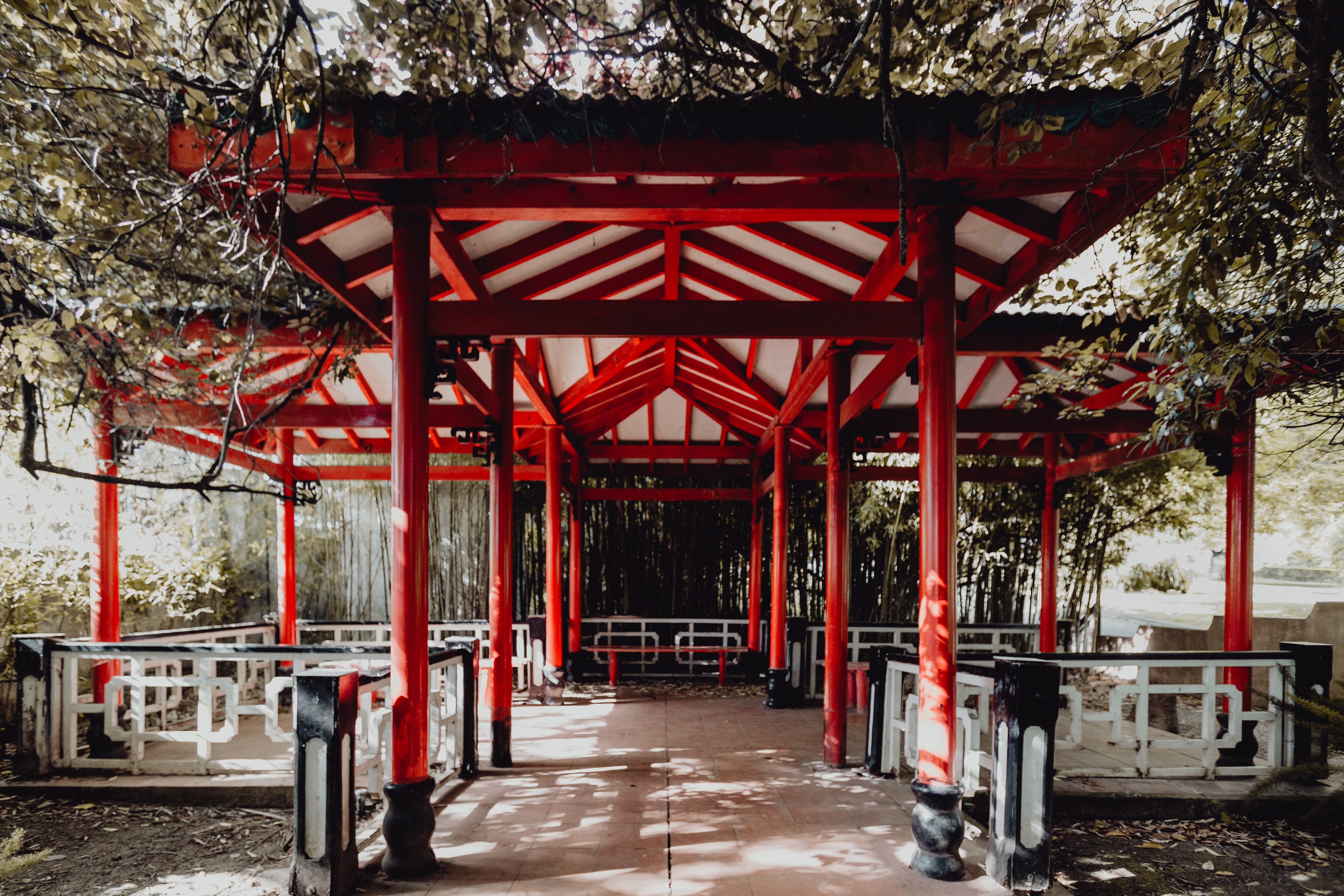 nature, 5K, no people, direction, tropical, park, garden, trees, palms, building, tree, outdoors, religion, absence, botany, ceiling, belem, architectural column, HD Wallpaper
