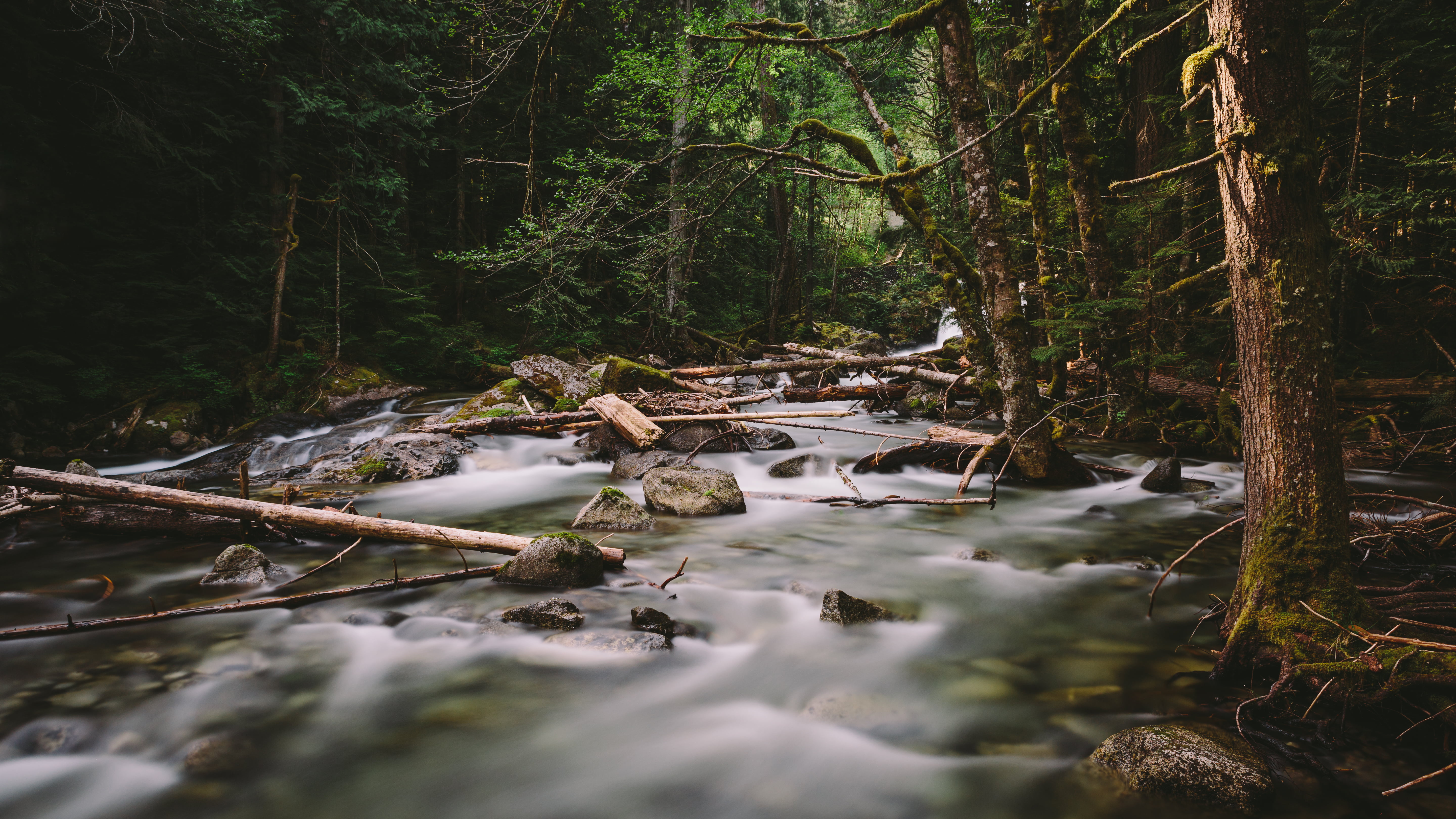 in between, ND, Pacific Northwest, Thought, Time, landscape, flow  motion, f/2, body of water, tree, 70mm, water, scenics, trees, green, long exposure, HD Wallpaper
