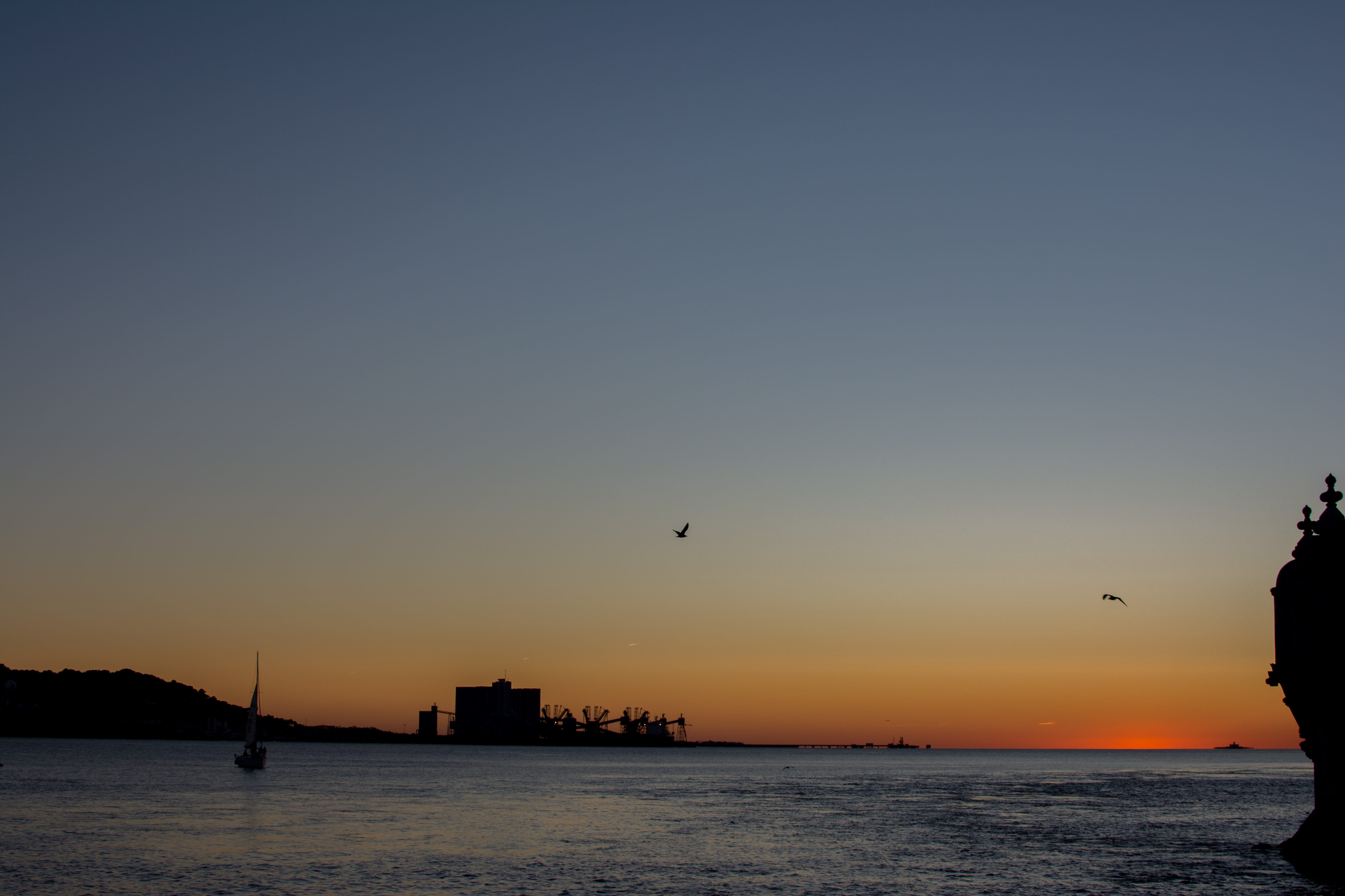 water, lisbon, waterfront, belem, nature, sun, no people, river, lisbona, copy space, caste, sea, portugal, sky, tejo, animal themes, beauty in nature, HD Wallpaper