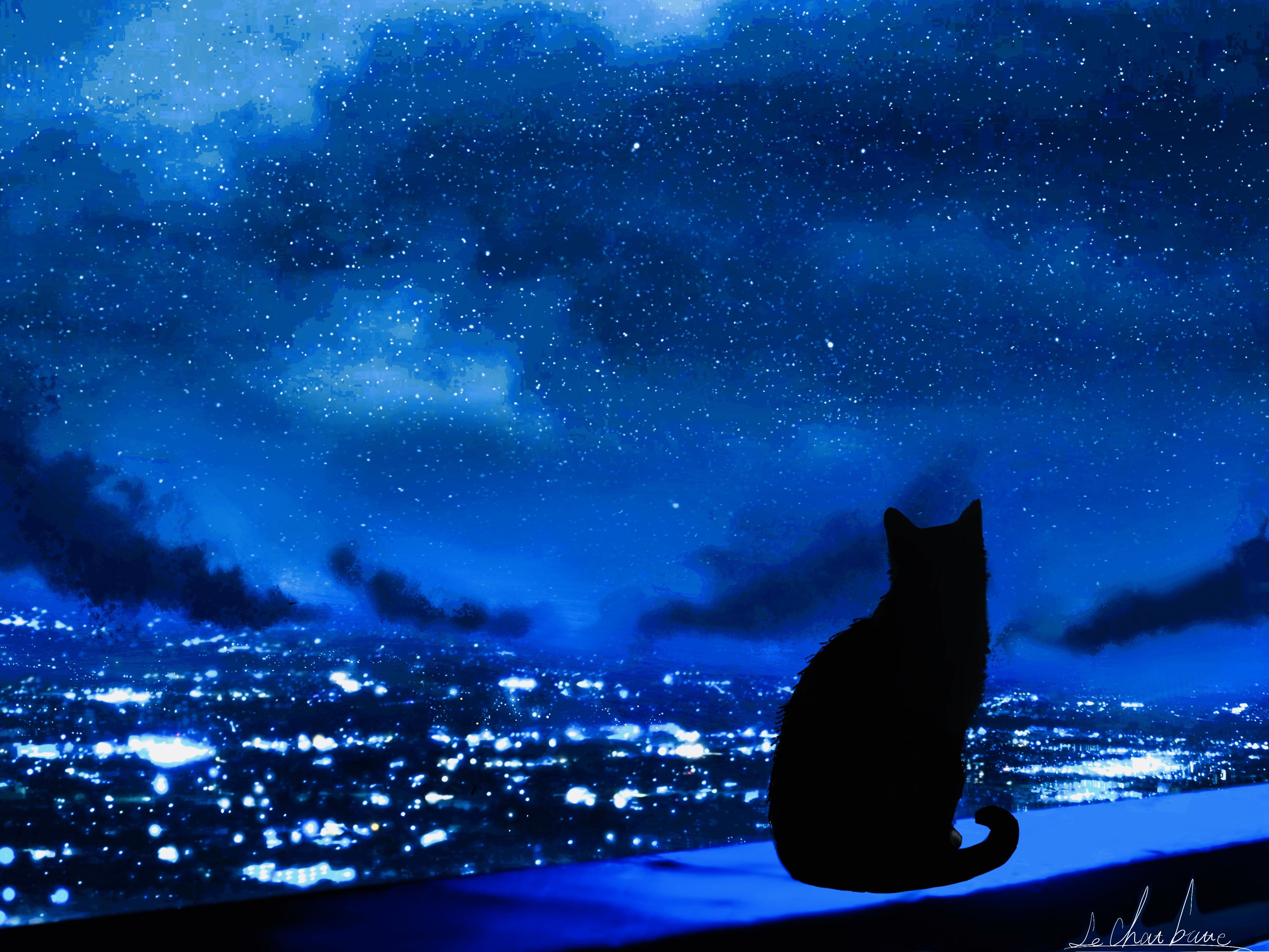 cats, animals, figures, 4K, night, city, sky, HD Wallpaper