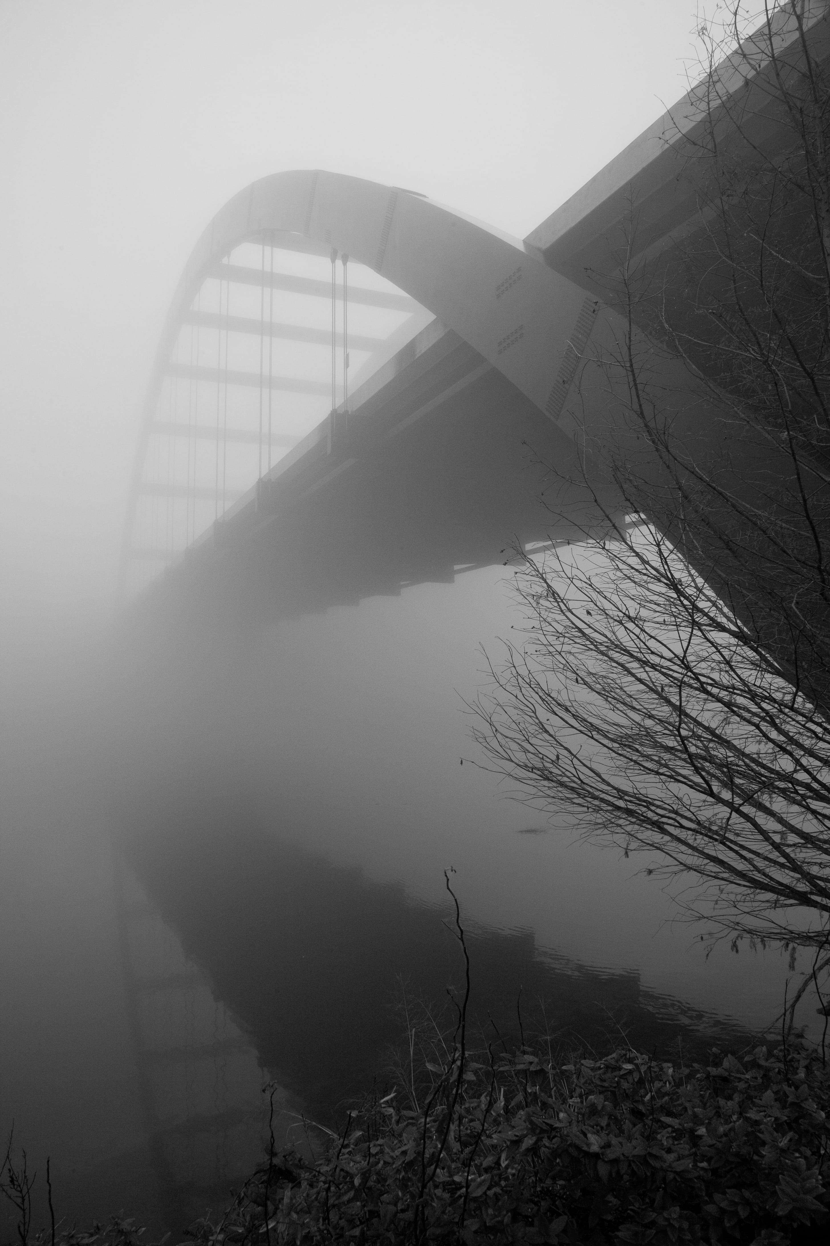 arch, united states, foggy, bridge, tree, day, bridge - man made structure, no people, tranquil scene, 4K, built structure, architecture, steel, fog, lake, Phone HD Wallpaper