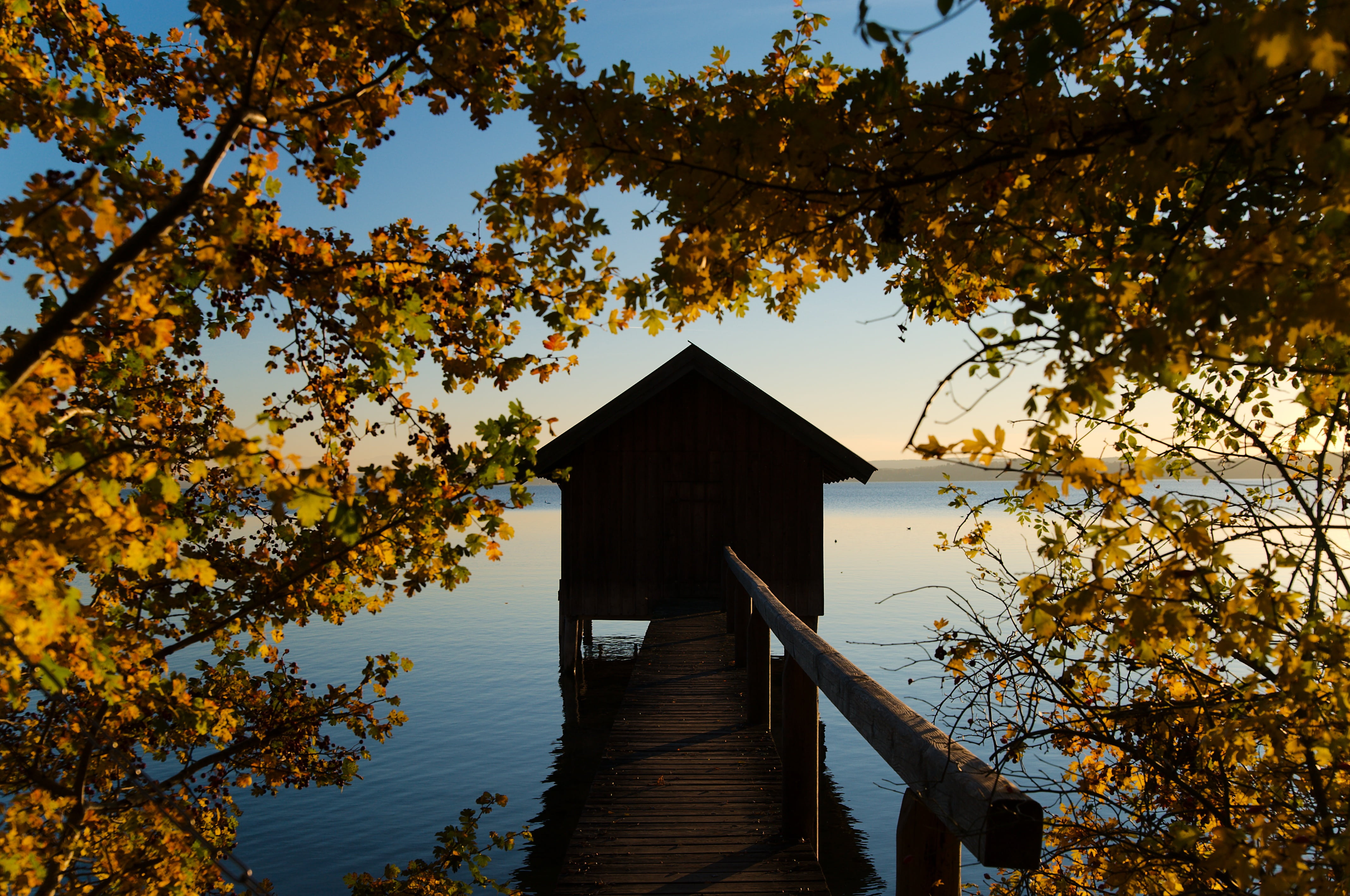 change, trees, evening sun, wood - material, twilight, nature, tree, evening sky, sunset, atmospheric, built structure, plant, architecture, sky, no people, HD Wallpaper