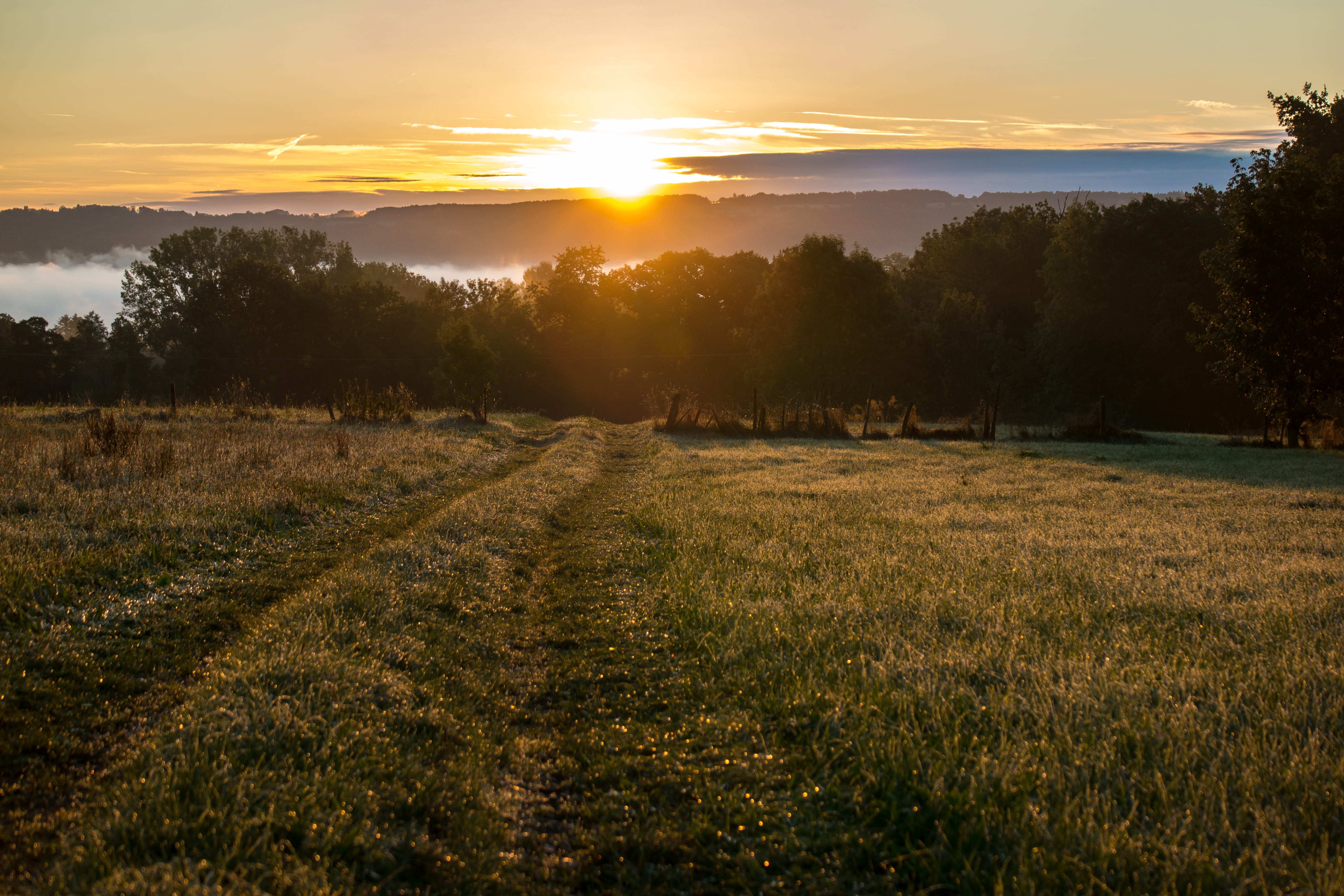 sunlight, landscape, tree, morning hour, meadow, mountains, 5K, outdoors, tranquil scene, idyll, beauty in nature, nature, scenics - nature, morning sun, HD Wallpaper