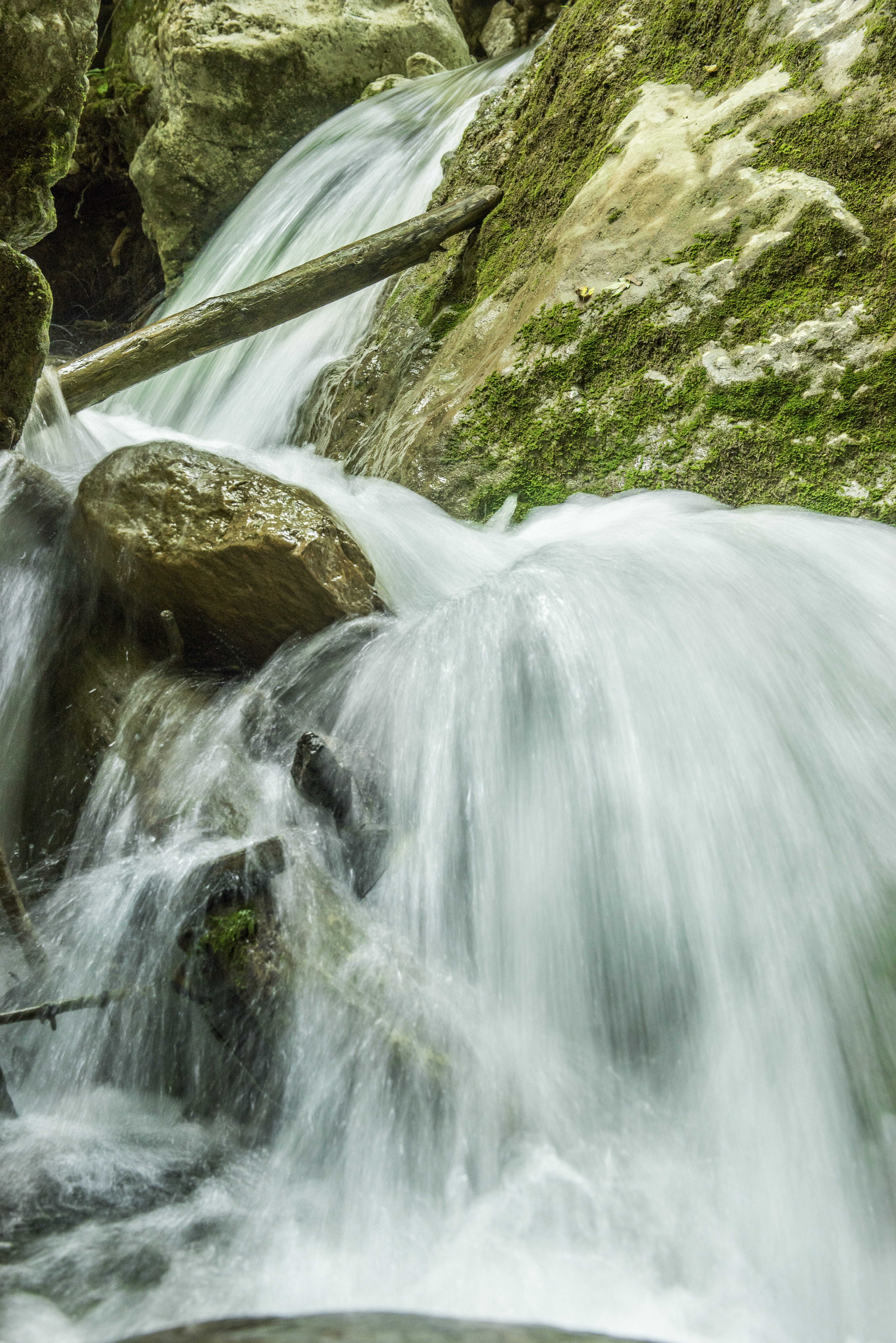 waterfall, 5K, beautiful, green, paradise, movement, pool, landscape, wild, jungle, spray, tree, wonderful, environment, solid, bach, stone, river, in the, Phone HD Wallpaper