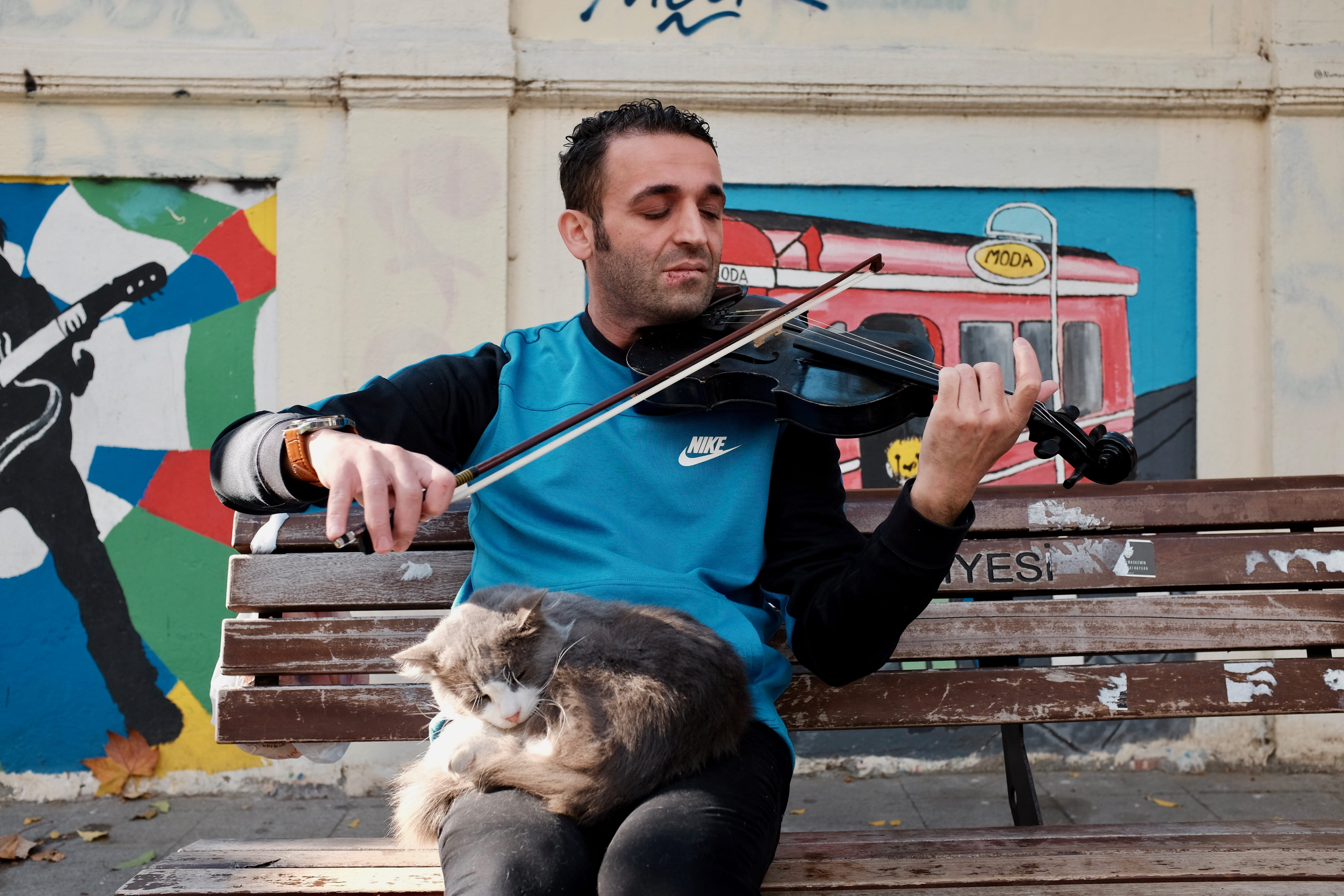 one animal, pet owner, violin, Turkey, domestic, young adult, classicalmusic, day, music, vertebrate, 4K, Potrait, pets, holding, sitting, casual clothing, HD Wallpaper
