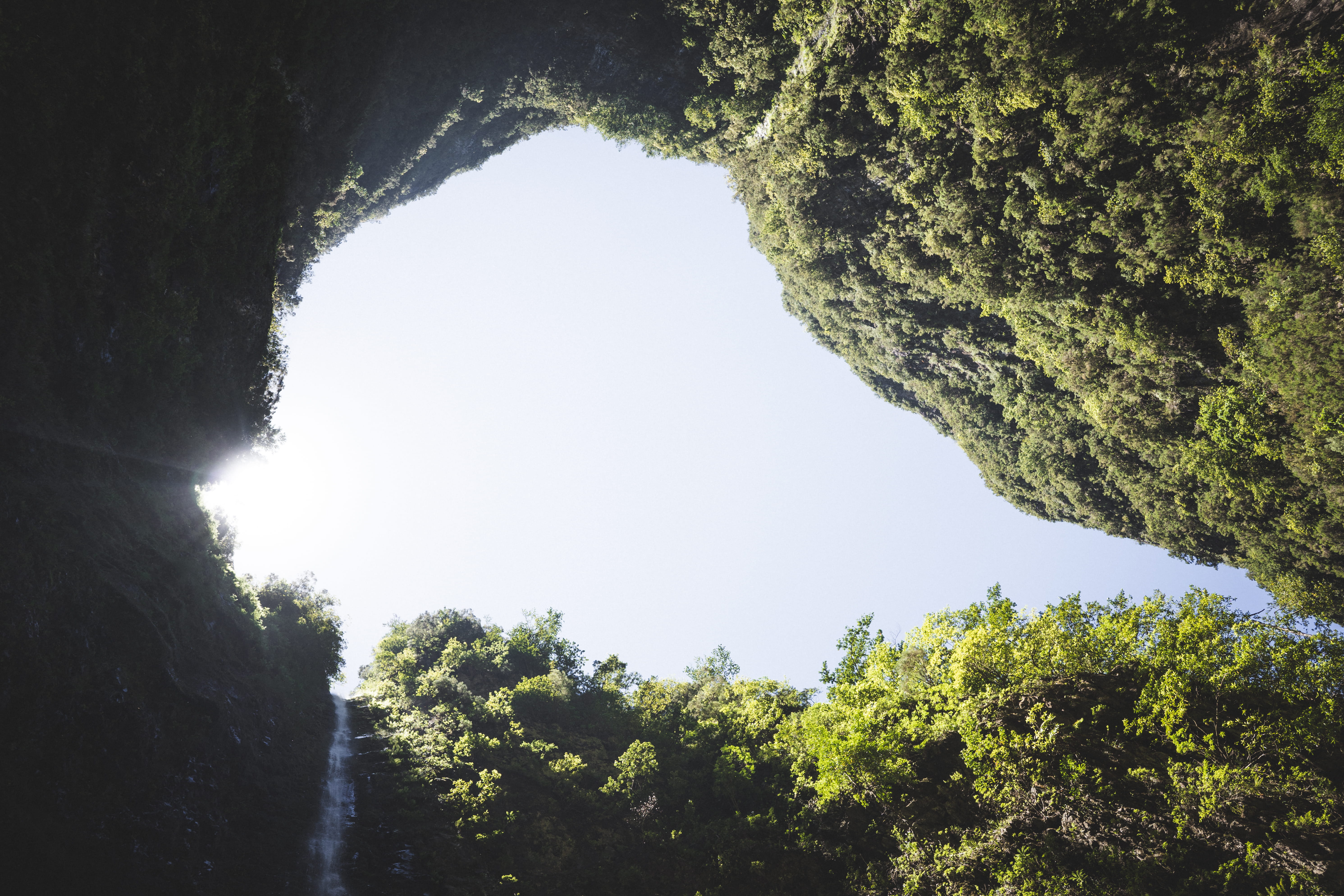 low, cliff, direction, scenics - nature, green, flora, directly below, tree, blossom, angle, rock, mimosa, redwood, photo, hole, outdoors, land, portugal, HD Wallpaper