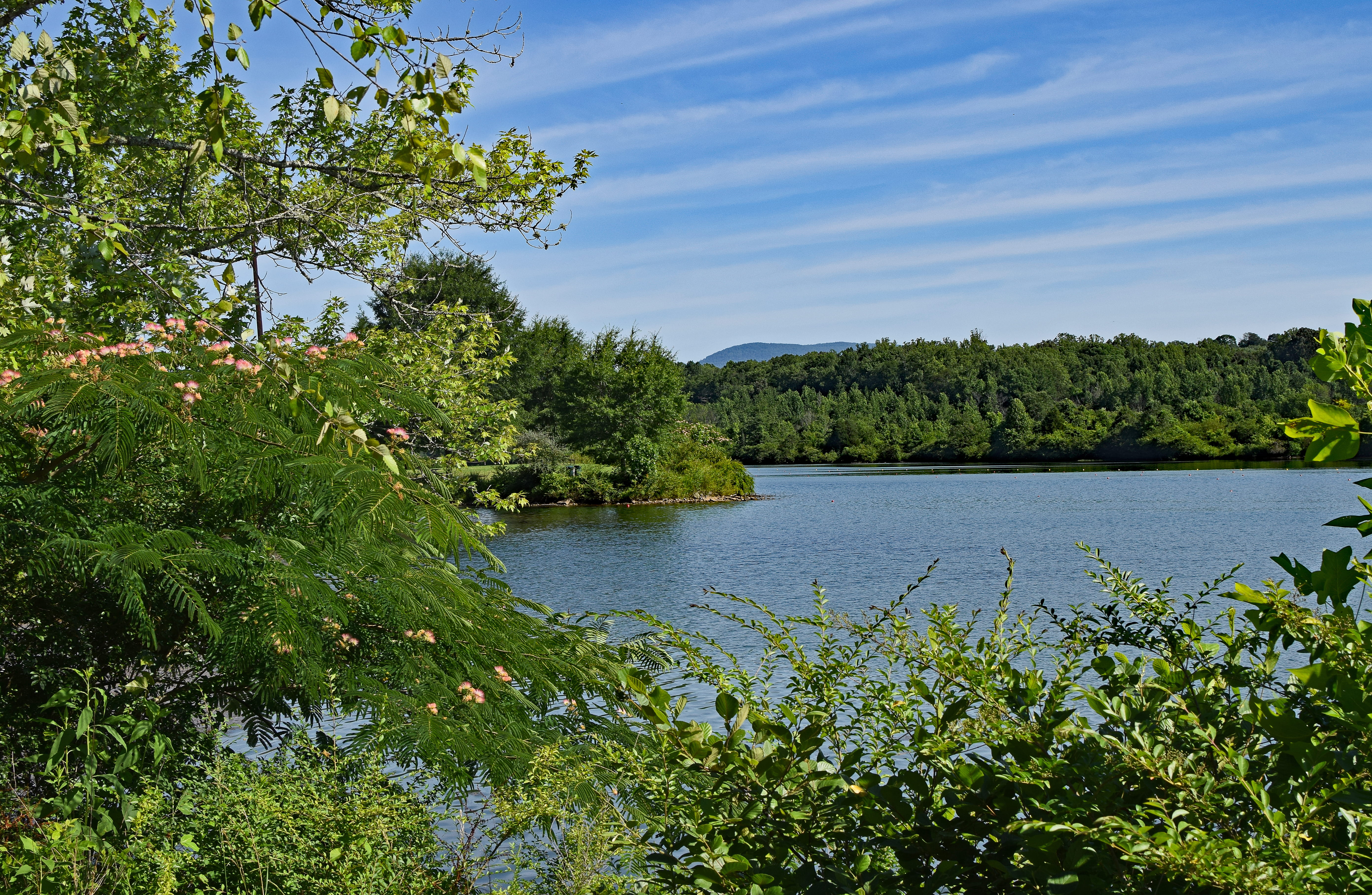 scenics - nature, beauty in nature, flowers, growth, scenic, tree, tranquility, mountains, green color, melton lake park, water, 5K, lake, landscape, non-urban scene, HD Wallpaper