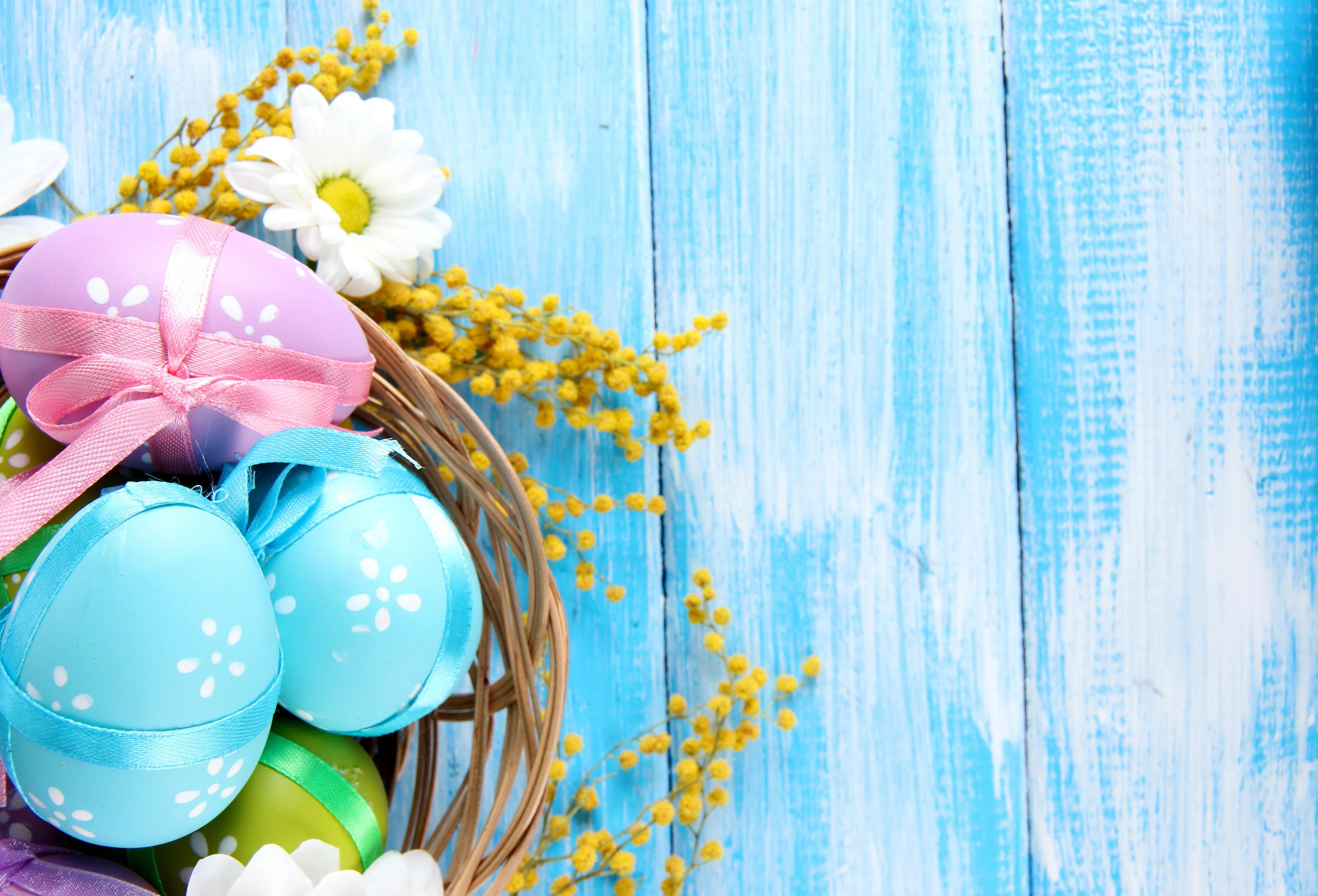 miscellaneous, 4K, eggs, flowers, easter, holidays, mimosa, HD Wallpaper