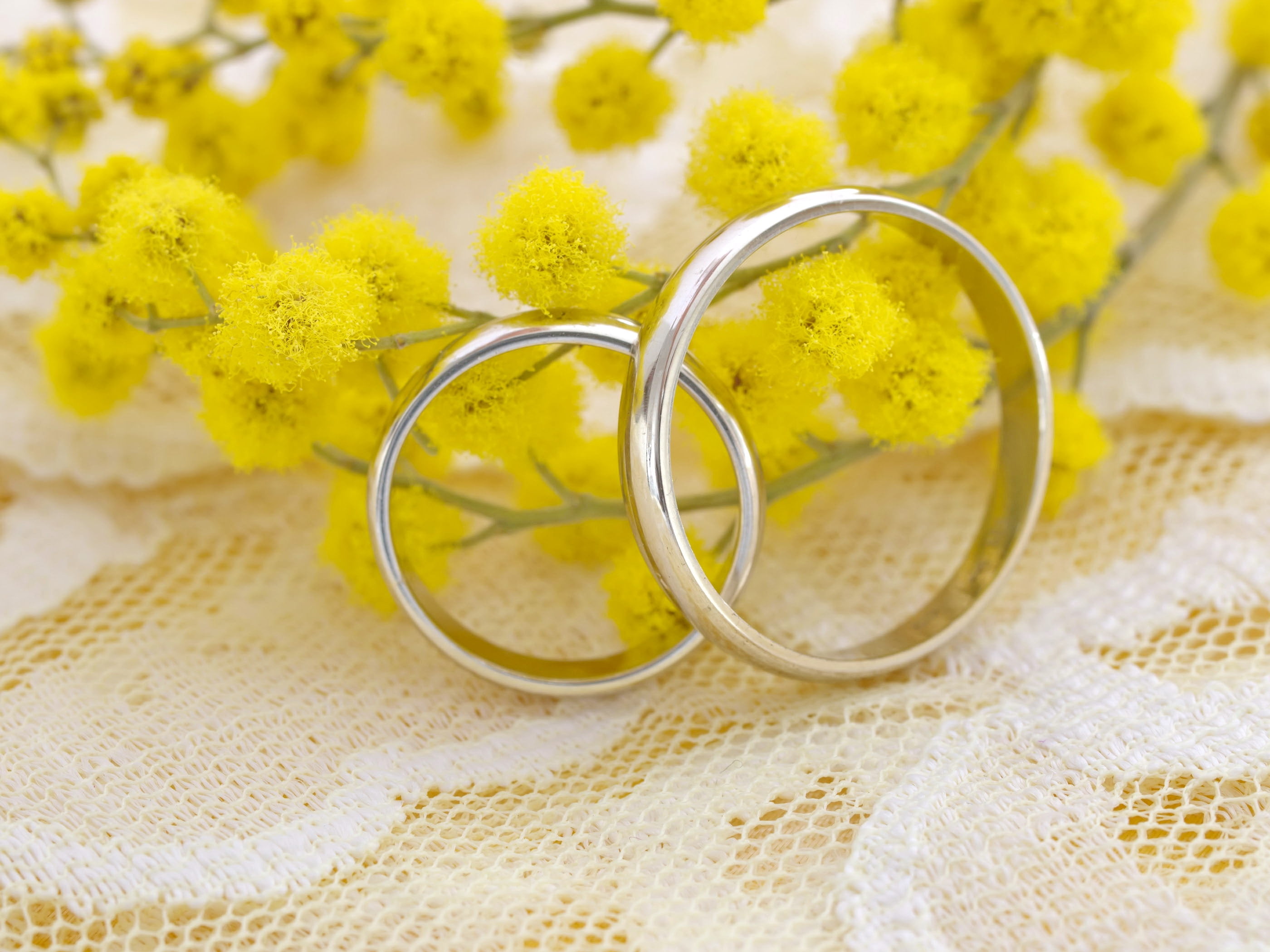 still life, ring, focus on foreground, life events, flowering plant, yellow, indoors, petal, textile, jewelry, floral pattern, 2K, rings, white, mimosa, HD Wallpaper