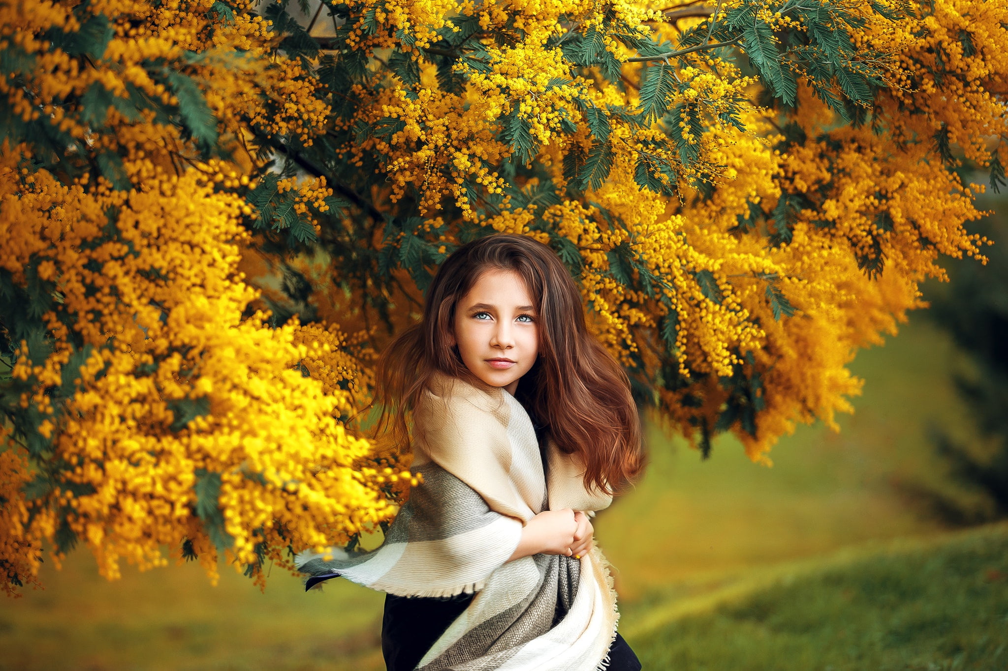 girl, branches, tree, Mimosa, brown hair, teen, 1080P, acacia, HD Wallpaper