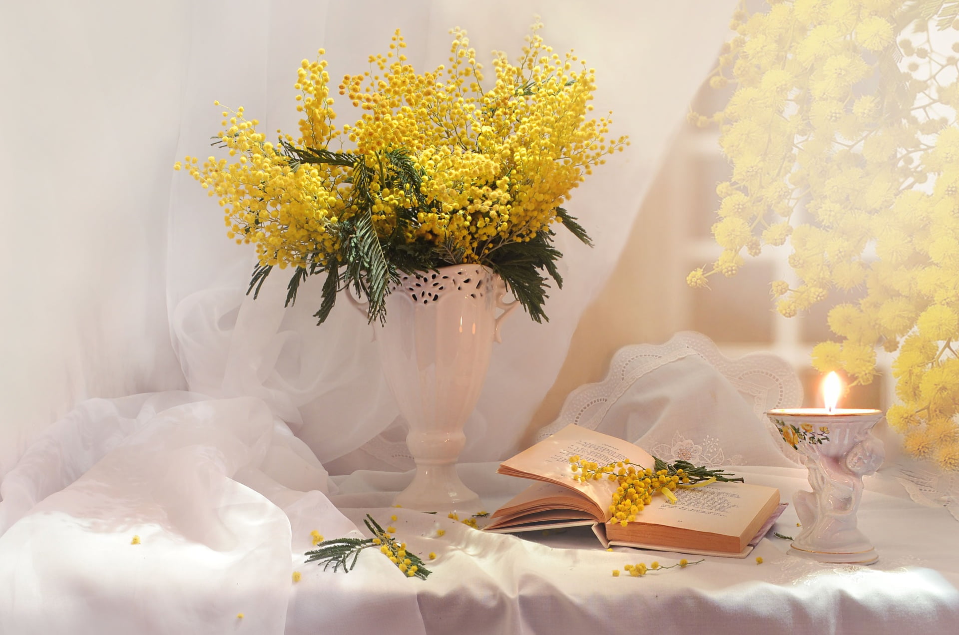 1080P, book, bouquet, Mimosa, HD Wallpaper