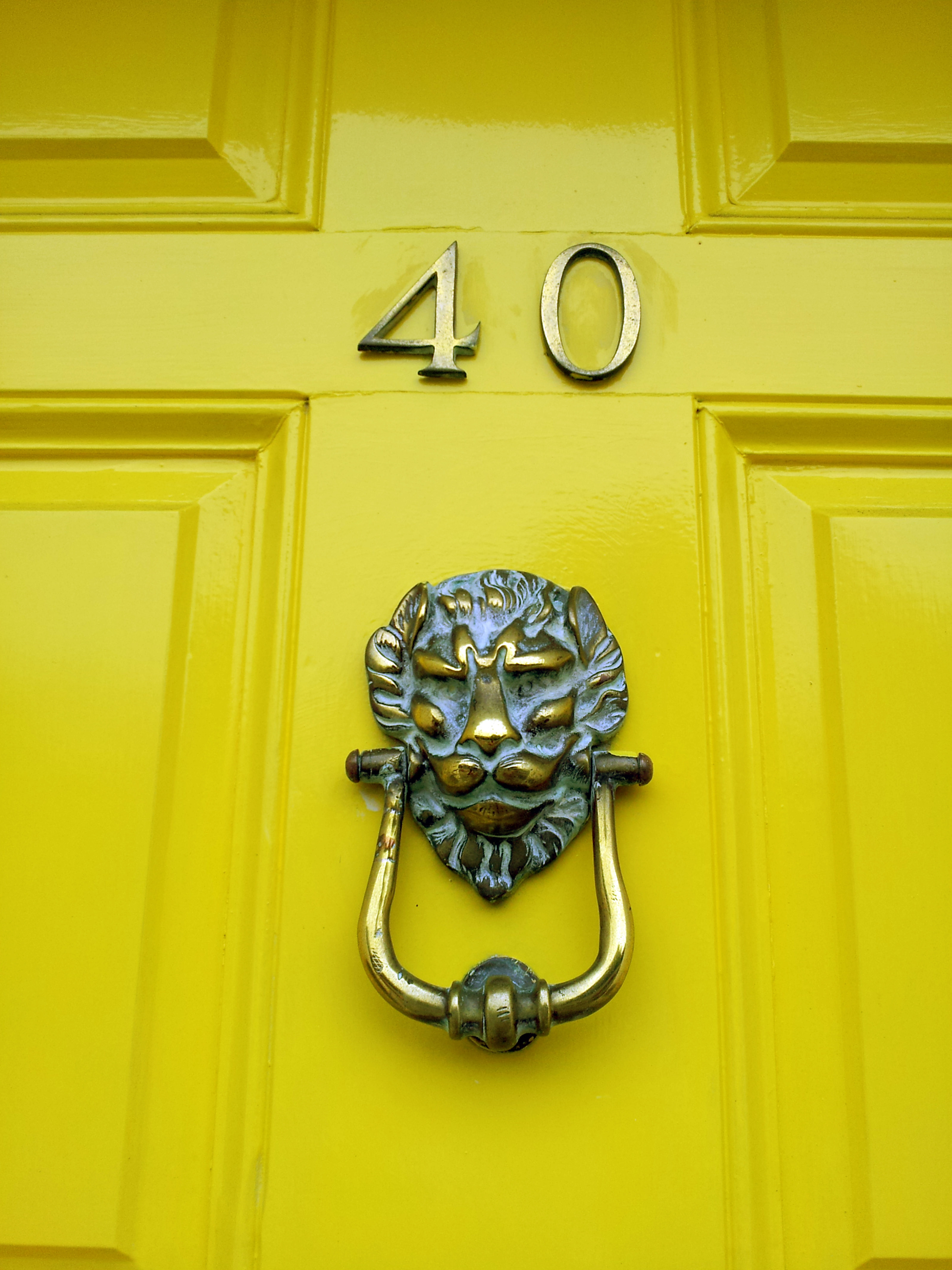 security, building exterior, congratulation, day, victorian, trim, ornament, door knocker, ornate, 40, no people, knob, 8K, door, metallized, lion - feline, Phone HD Wallpaper