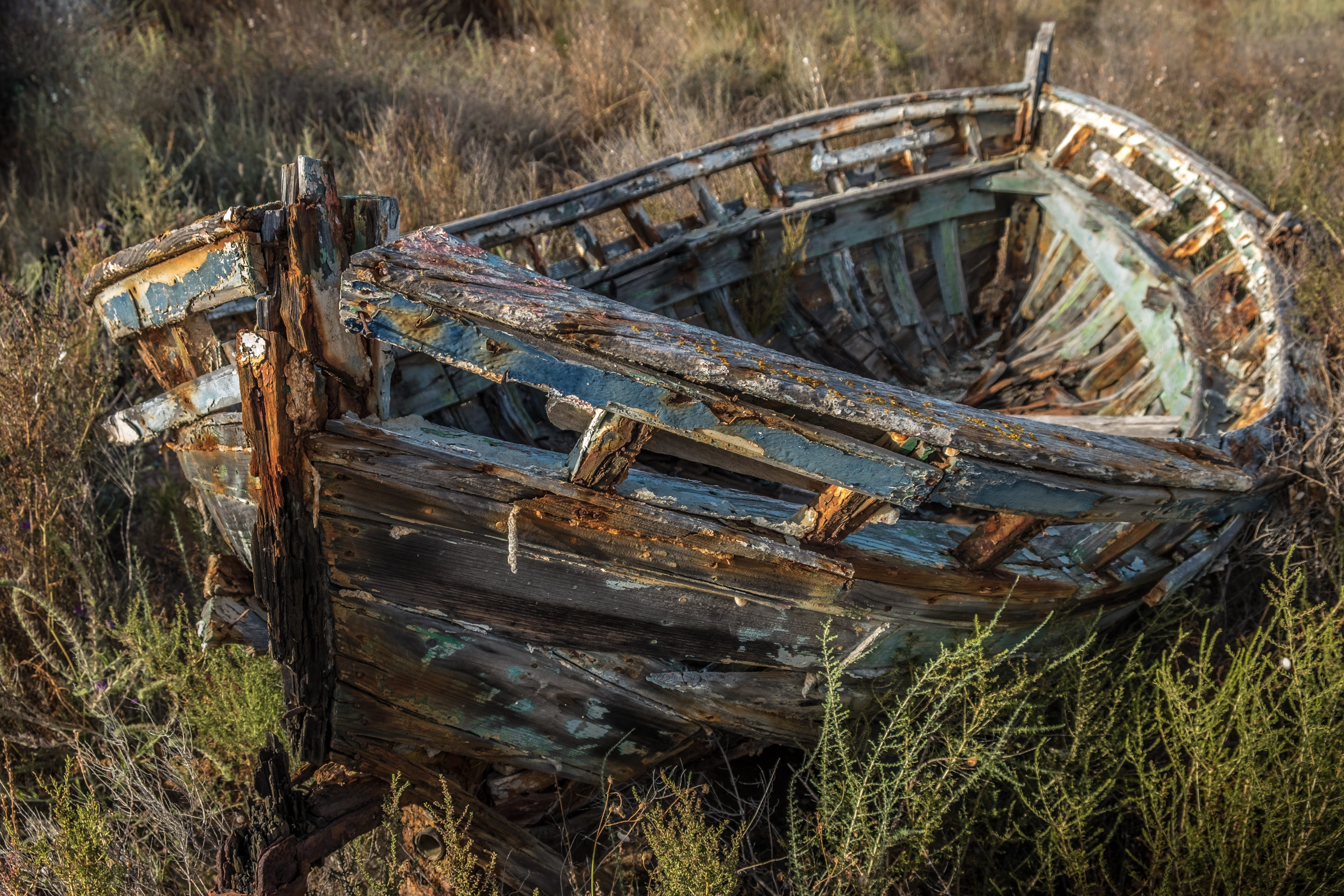 5K, old, mode of transportation, green, damaged, wood, Sea, day, decadence, without the sea, land, abandonment, boat, Abandoned Ship, no people, wood - material, HD Wallpaper