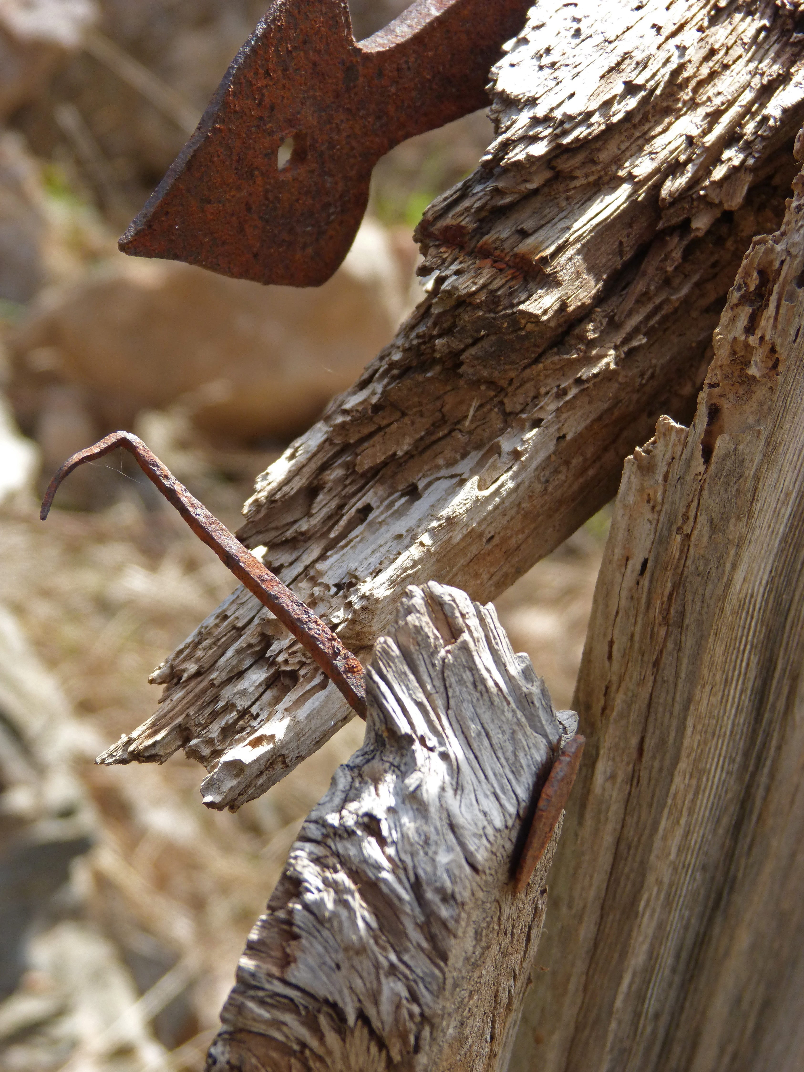 brown, iron, 4K, log, door, metal, sunlight, timber, ruin, damaged, rusty, day, outdoors, tree, wood, broken, close-up, wood - material, weathered, nail, Phone HD Wallpaper