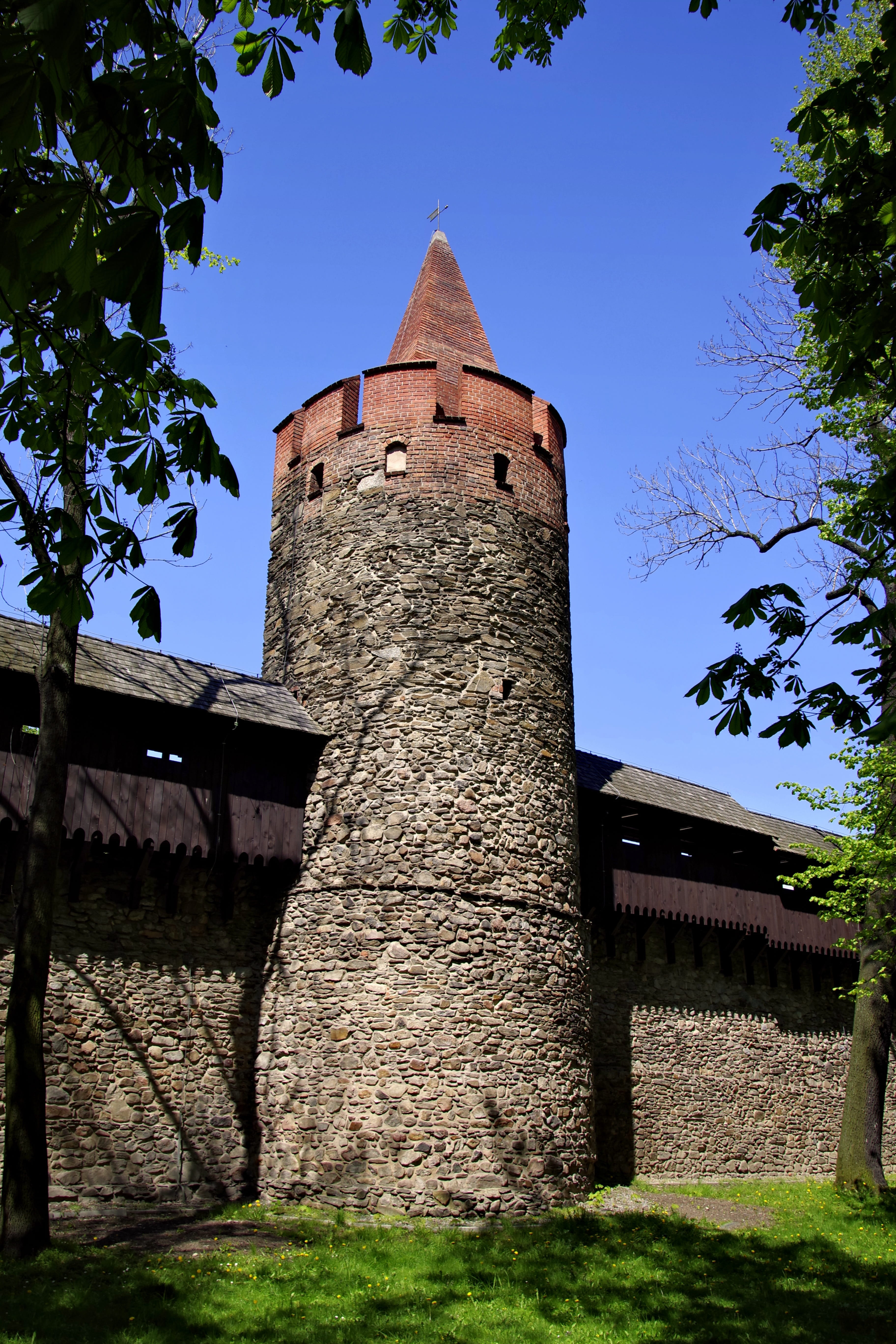 built structure, the middle ages, Castle, silesia, tree, poland, lake dusia, monument, day, low angle view, place of worship, stone, stone wall, outdoors, Phone HD Wallpaper