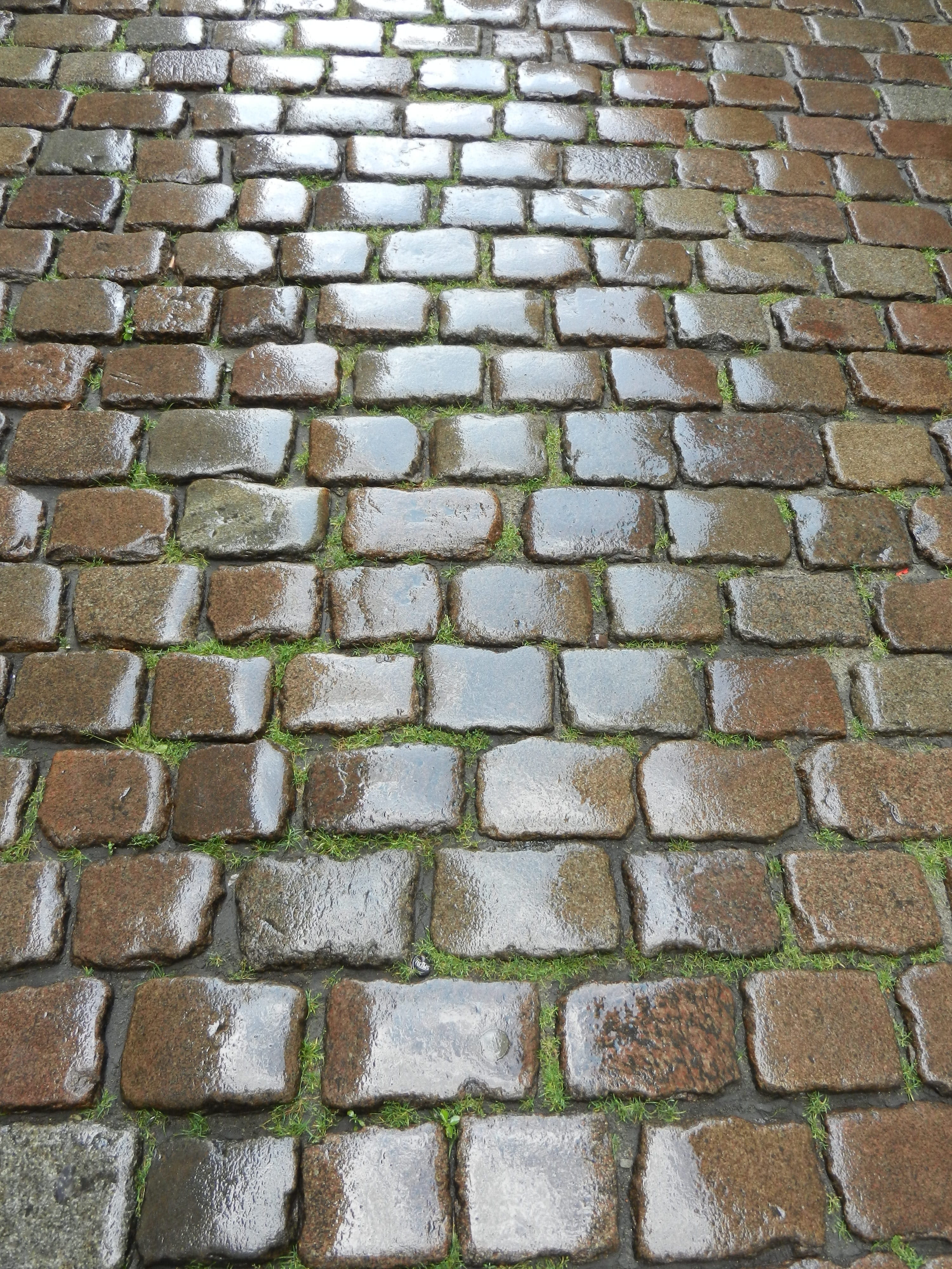 Pavers, brick wall, street, footpath, invoice, textured, day, paving stone, architecture, cobblestone, no people, full frame, construction elements, Walkway, Phone HD Wallpaper