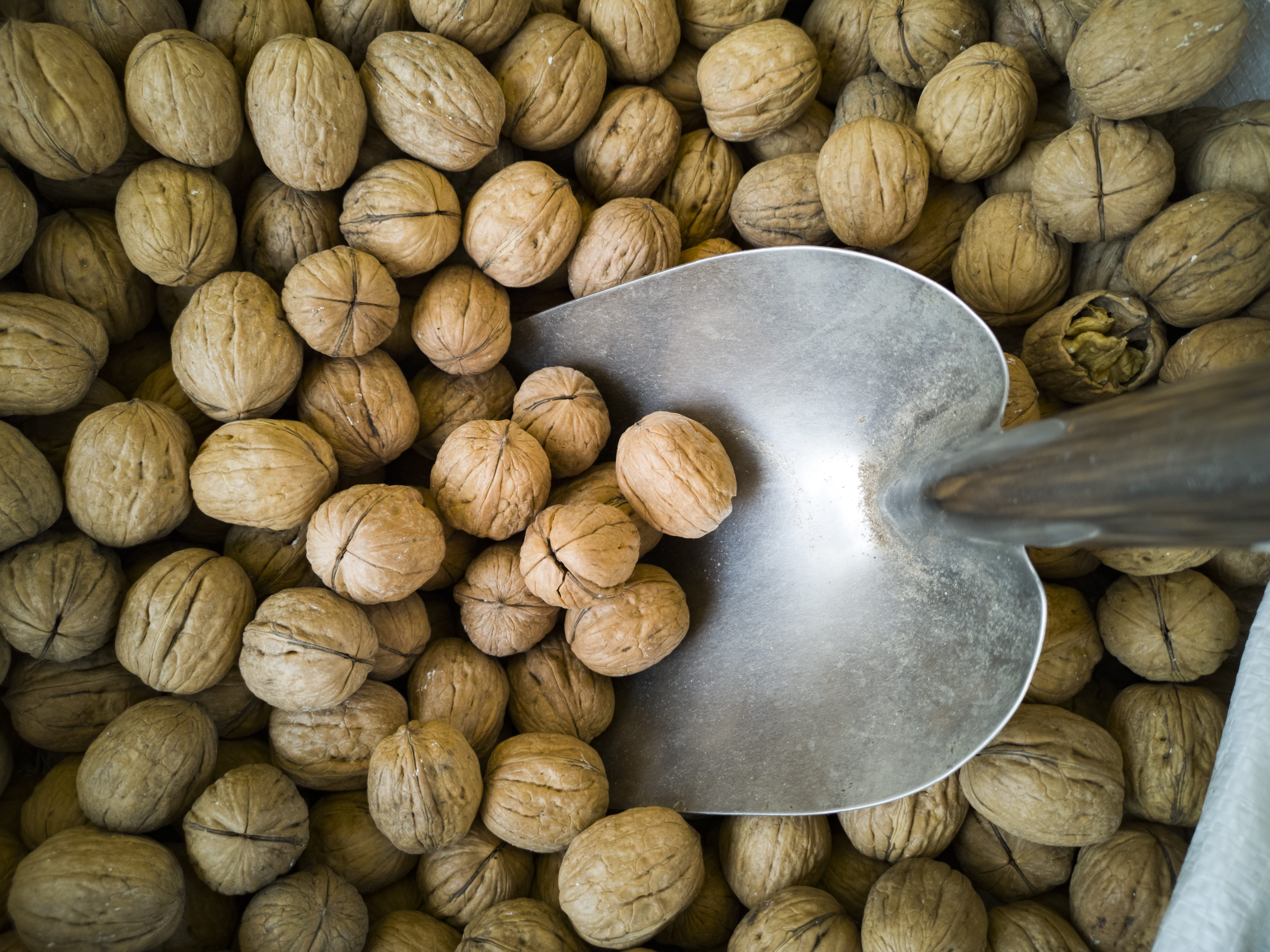 wood - material, macro, background, walnut, fruit, sunday, vitamin, nut - food, indoors, 5K, no people, nut, energy, full frame, wellbeing, freshness, HD Wallpaper