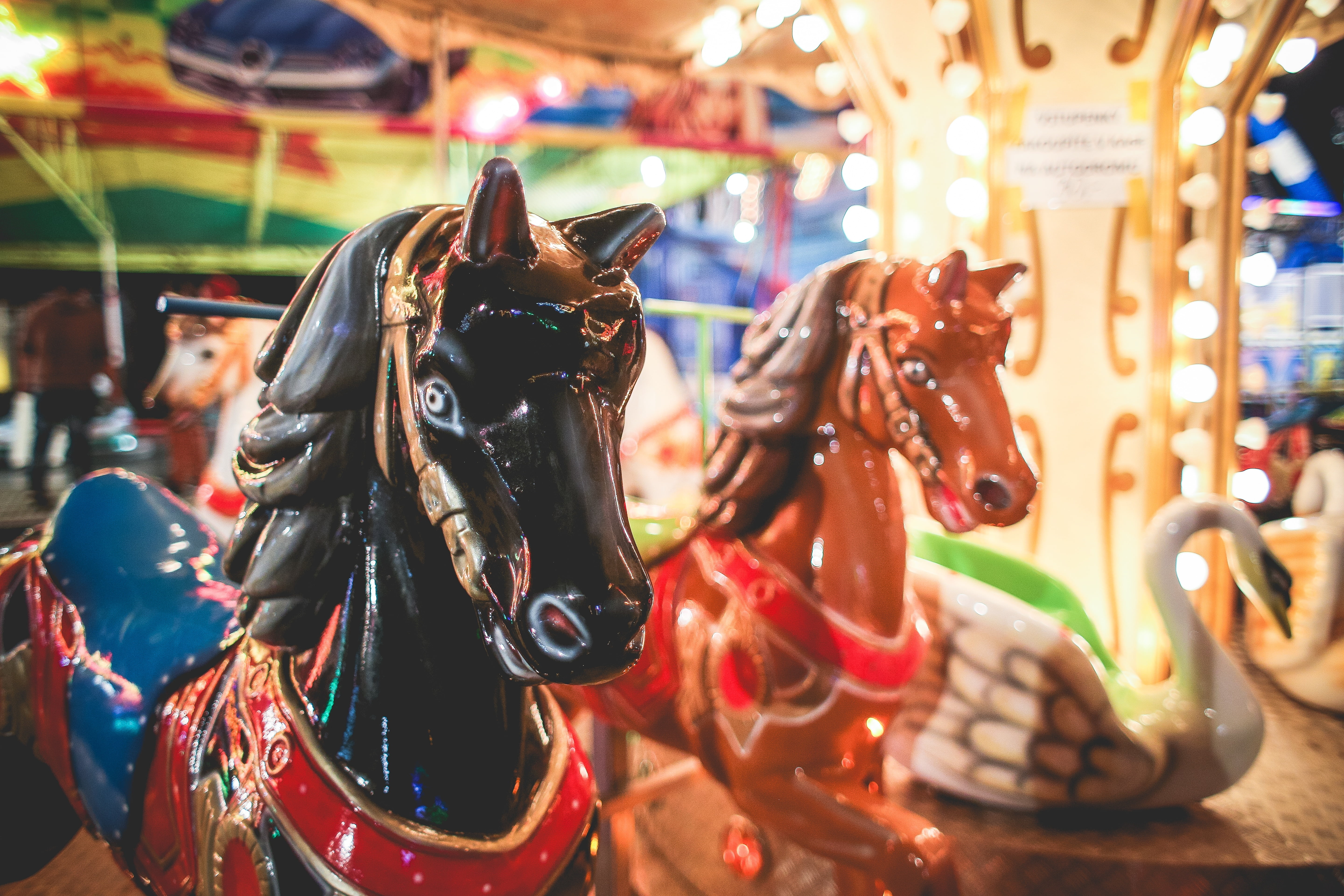 arts culture and entertainment, traveling Carnival, close-up, retail, traditional Festival, mammal, animal, focus on foreground, amusement, horse, livestock, HD Wallpaper