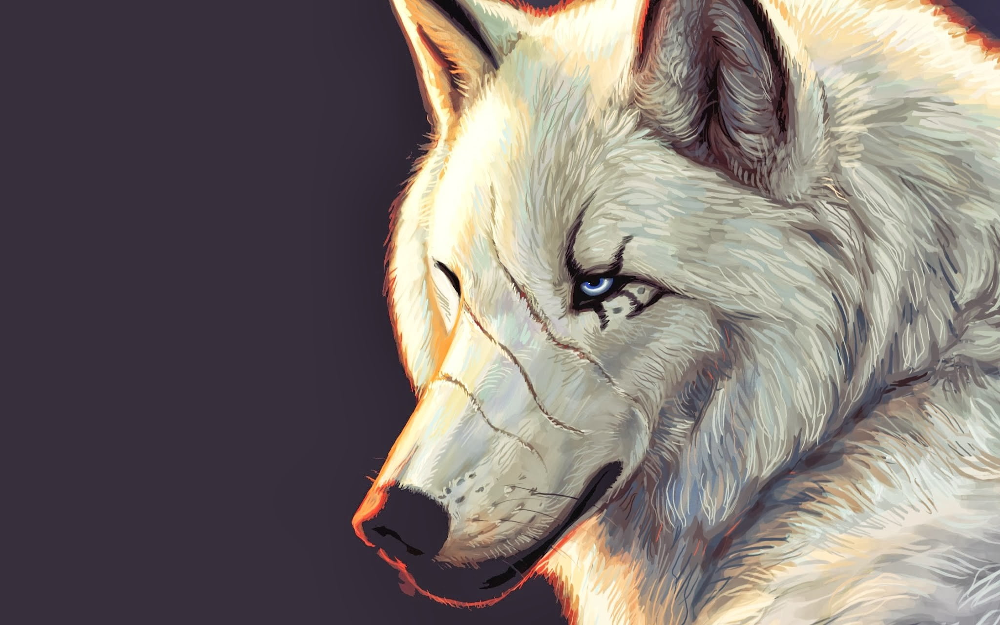 animal eye, digital, animal head, looking away, studio shot, canine, profile view, white, wolf, whisker, pets, artwork, animal body part, portrait, HD Wallpaper