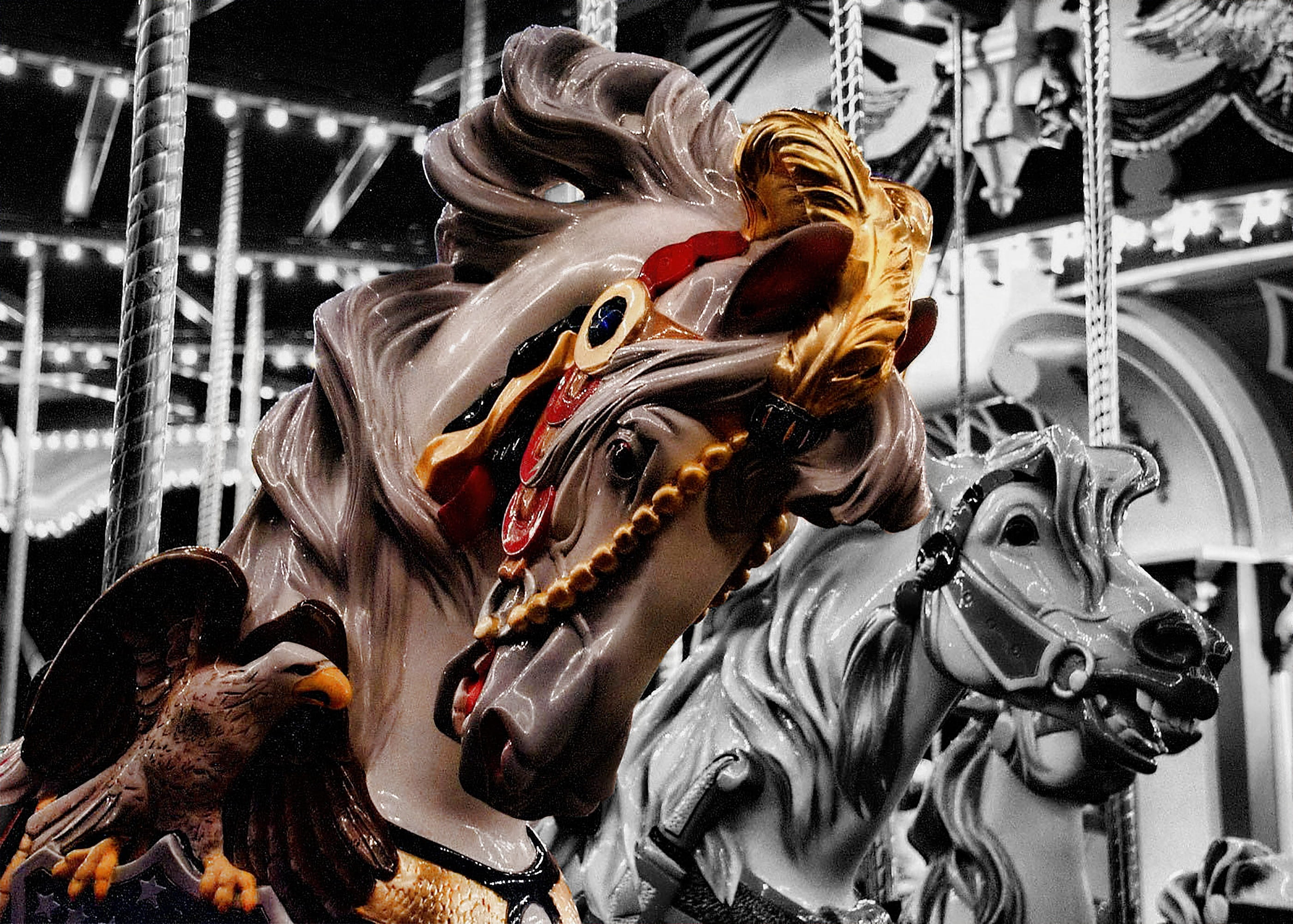 animal wildlife, Selective Color, still life, mammal, complexity, wooden horse, sculpture, carousel, merry-go-round, metal, horse, food and drink, selective, HD Wallpaper