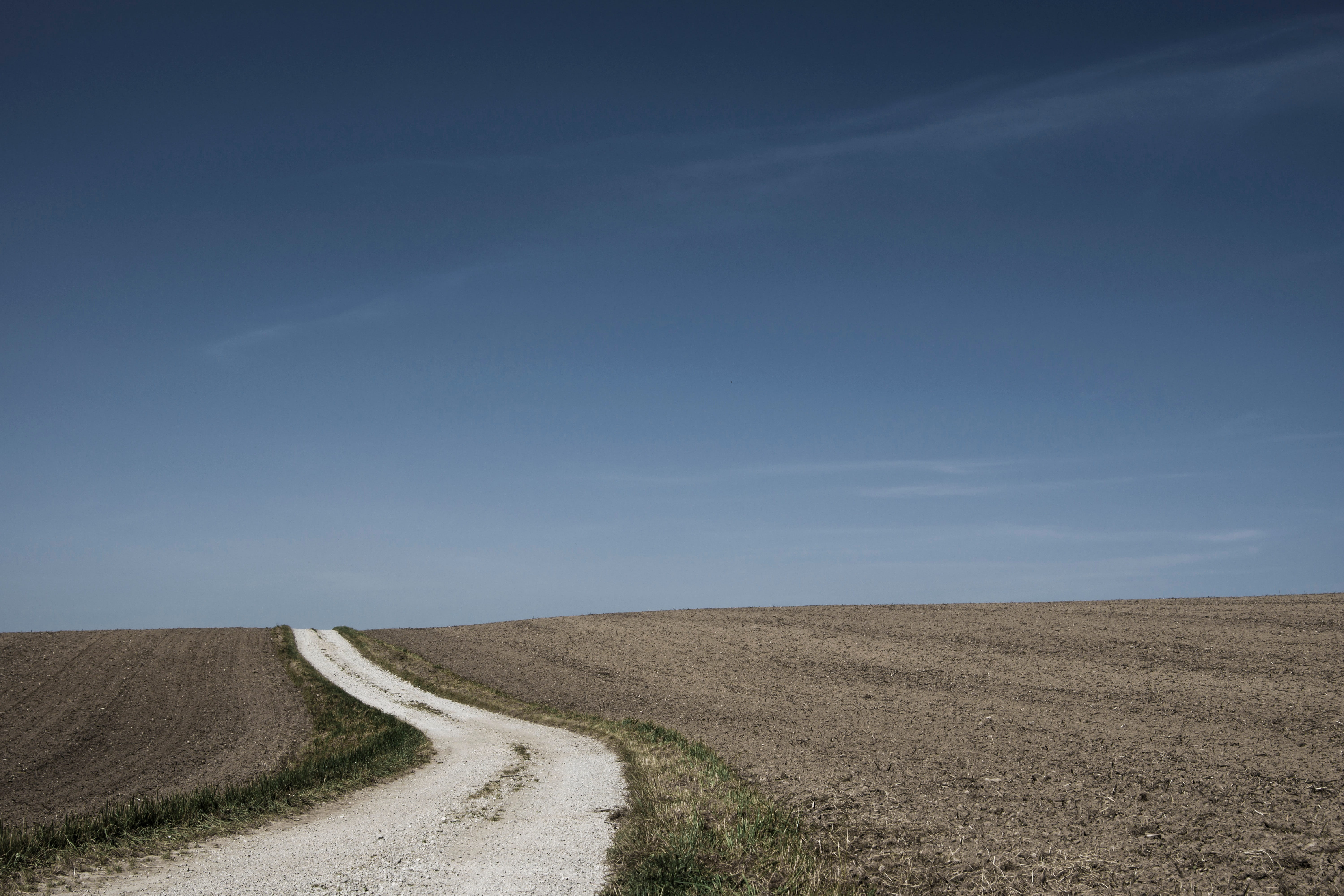 grass family, cloud, aeolian landform, ecosystem, grassland, road, land, natural environment, plateau, steppe, nature, prairie, environment, horizon over land, HD Wallpaper