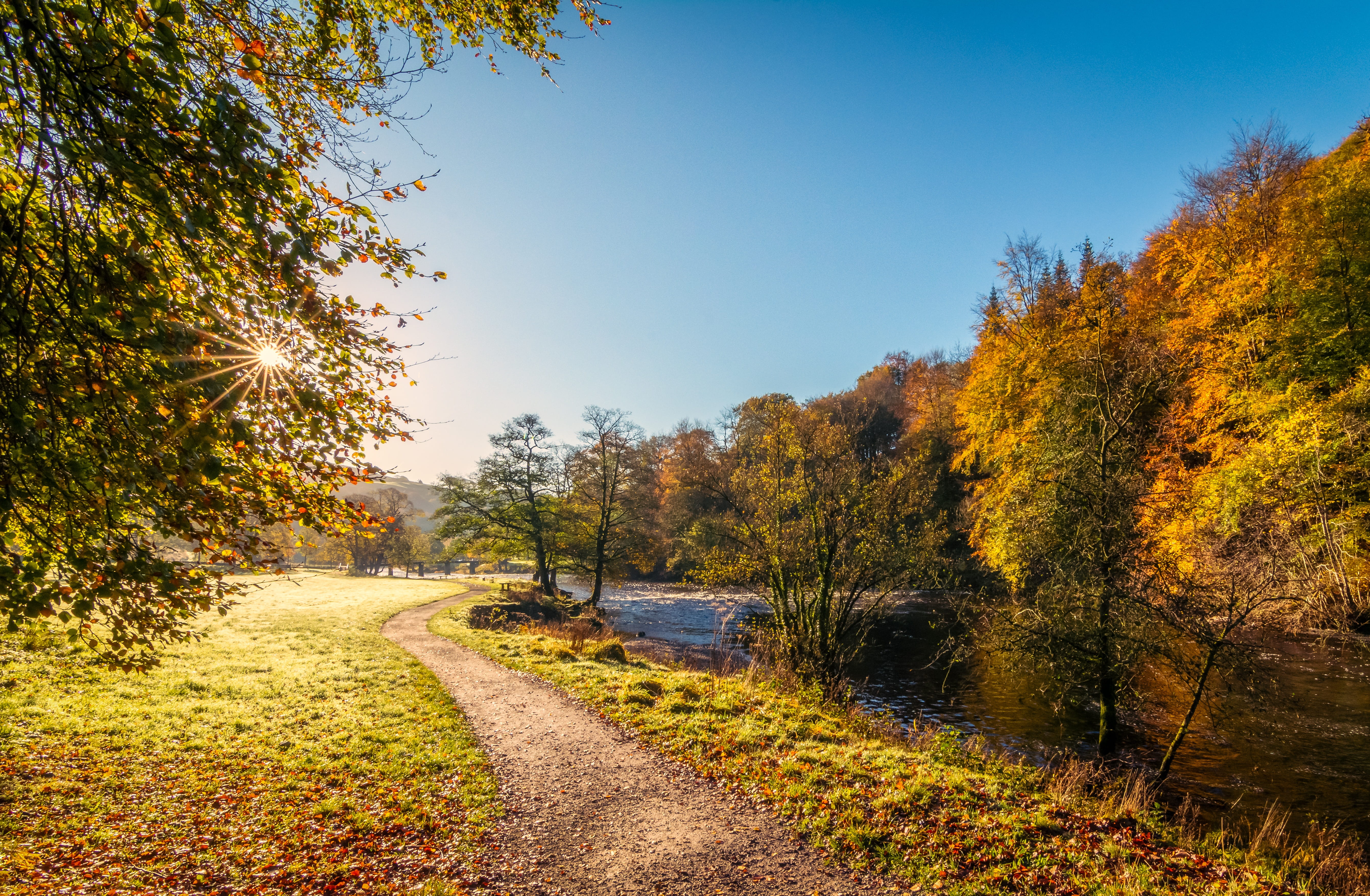 landscape, uk, autumn collection, orange color, light, day, yorkshire, beauty in nature, autumn leaves, nature, road, tranquility, river, bolton abbey, HD Wallpaper