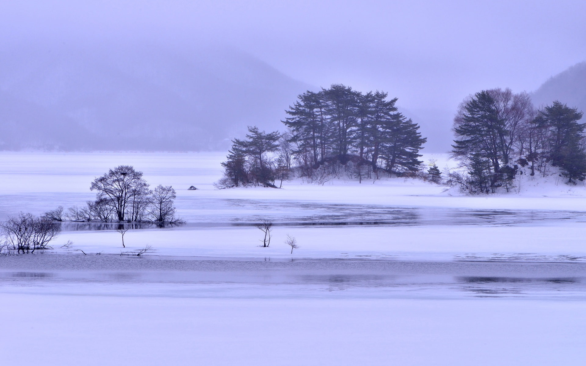 water, Islands, Ice, Winter, Lake, tree, 1080P, Fog, near, Snow, Trees, HD Wallpaper