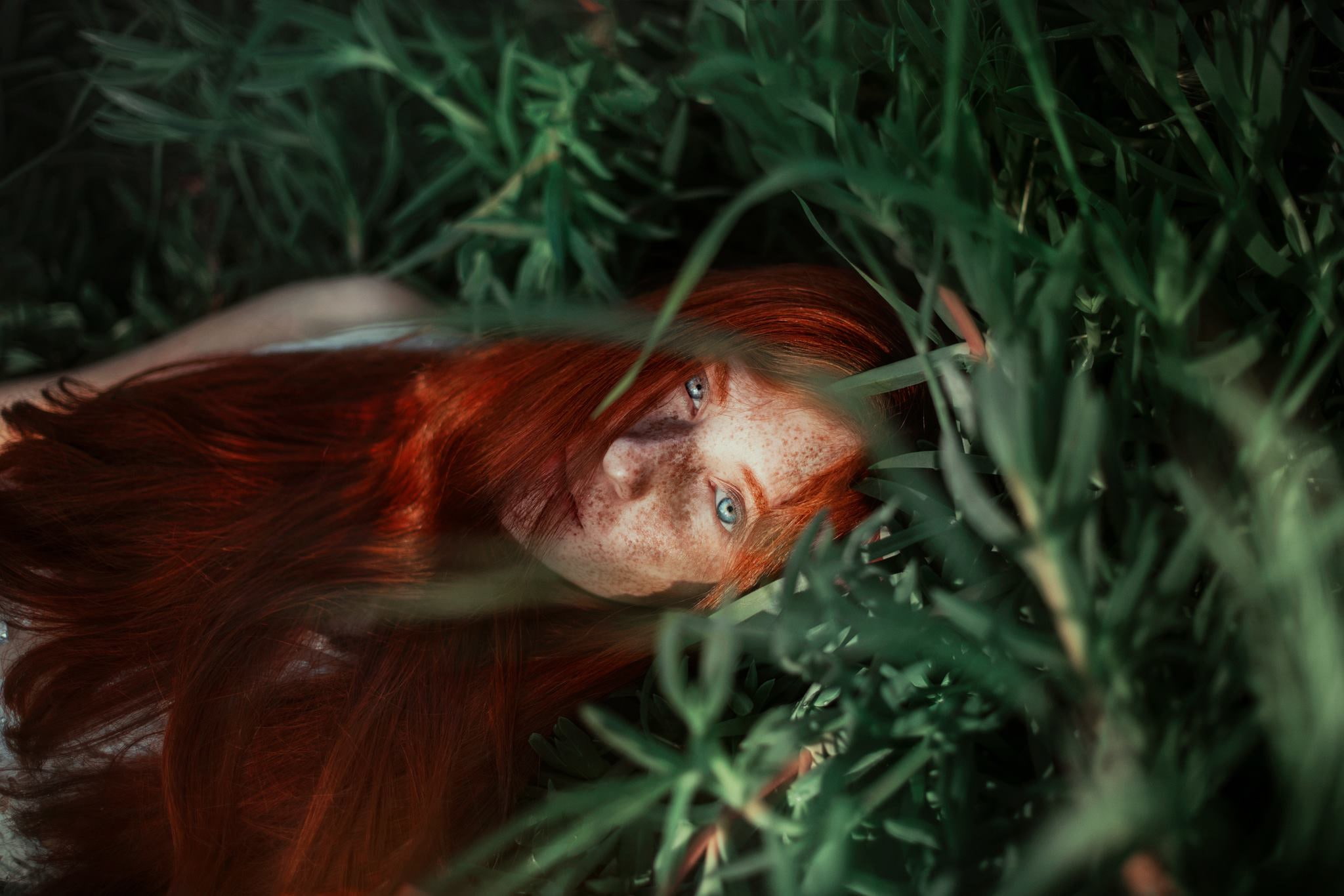 looking, day, close-up, plant, freckles, nature, women, grass, redhead, hairstyle, hair, one person, Ronny Garcia, one animal, green color, vertebrate, HD Wallpaper