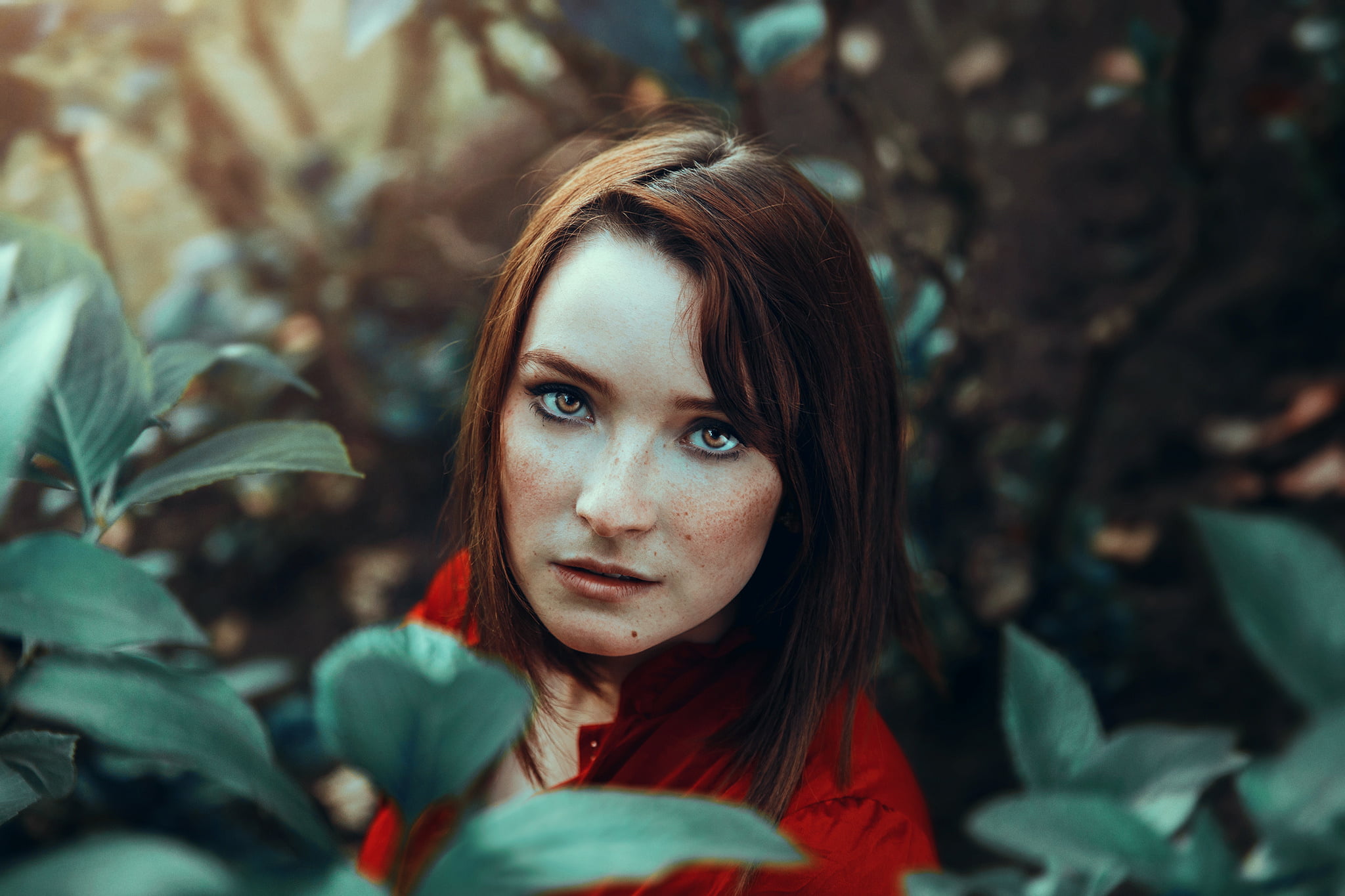 young women, one person, leisure activity, nature, young adult, front view, leaf, brunette, portrait, plant part, looking at viewer, real people, tree, HD Wallpaper