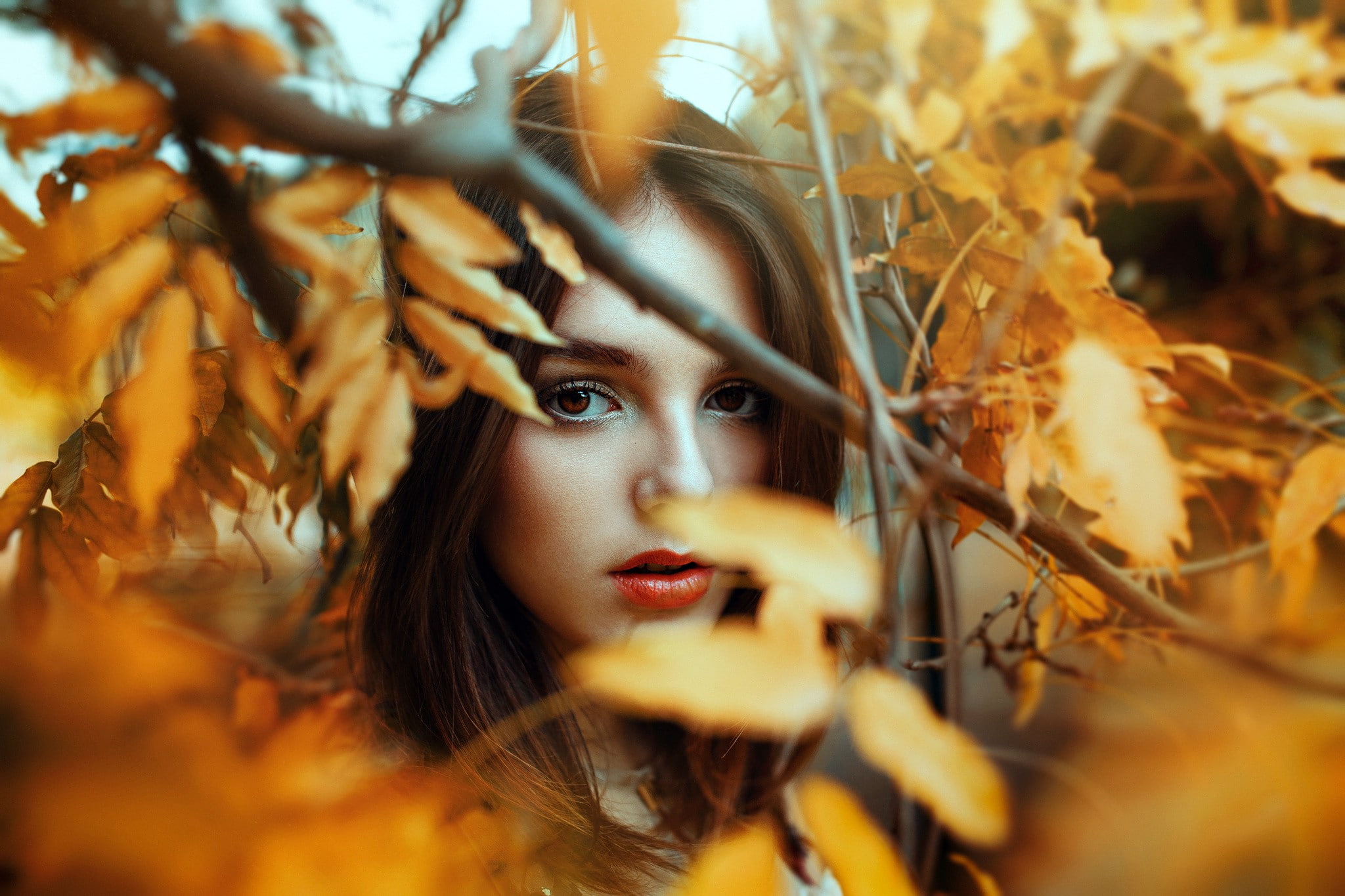 model, depth of field, portrait, auburn hair, women, leaves, long hair, brown eyes, red lipstick, fall, 1080P, Ronny Garcia, face, looking at viewer, HD Wallpaper