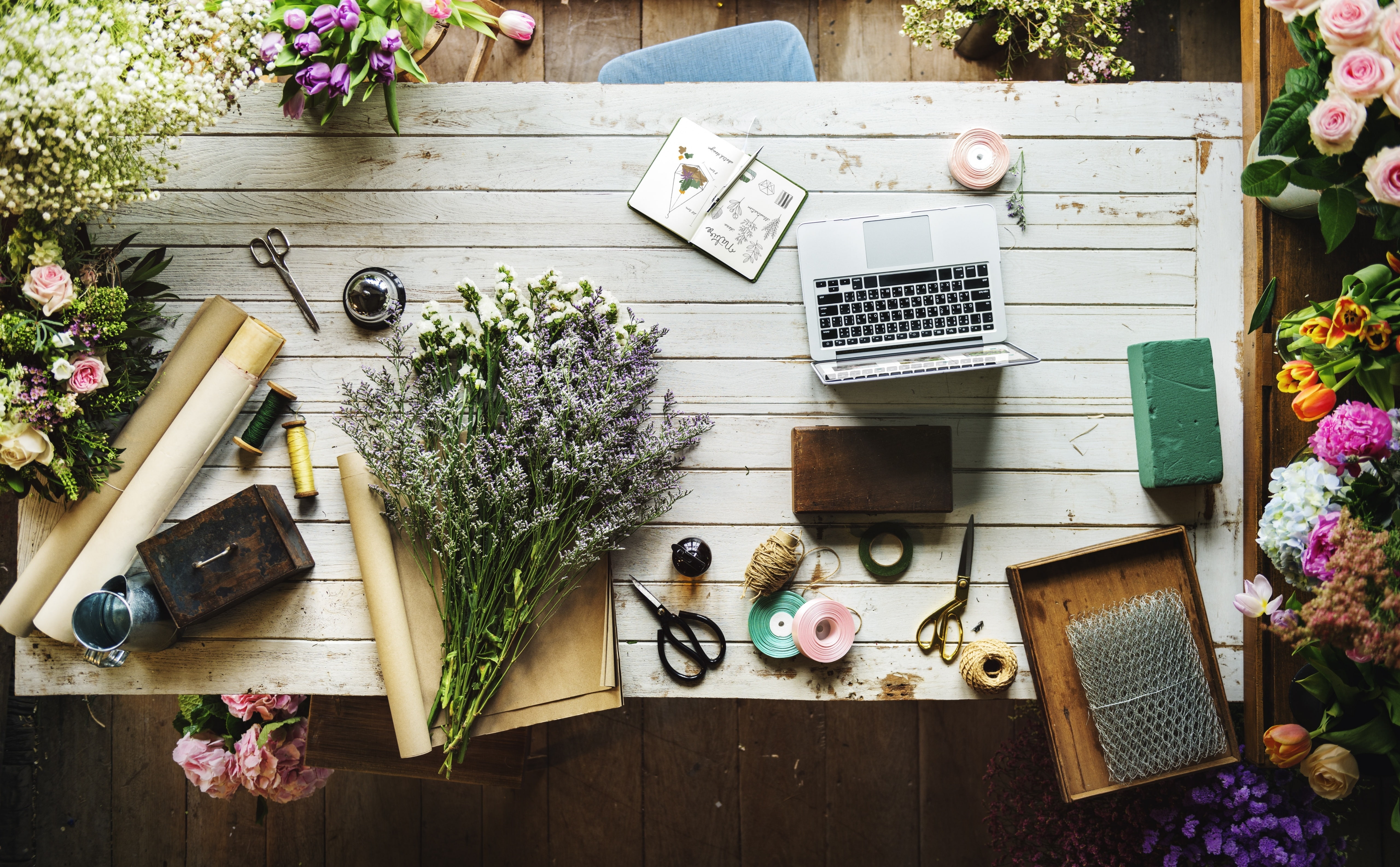Decoration, publication, Plants, flower arrangement, scissors, outdoors, Fresh, Laptop, Natural, potted plant, freshness, flower, high angle view, florist, HD Wallpaper