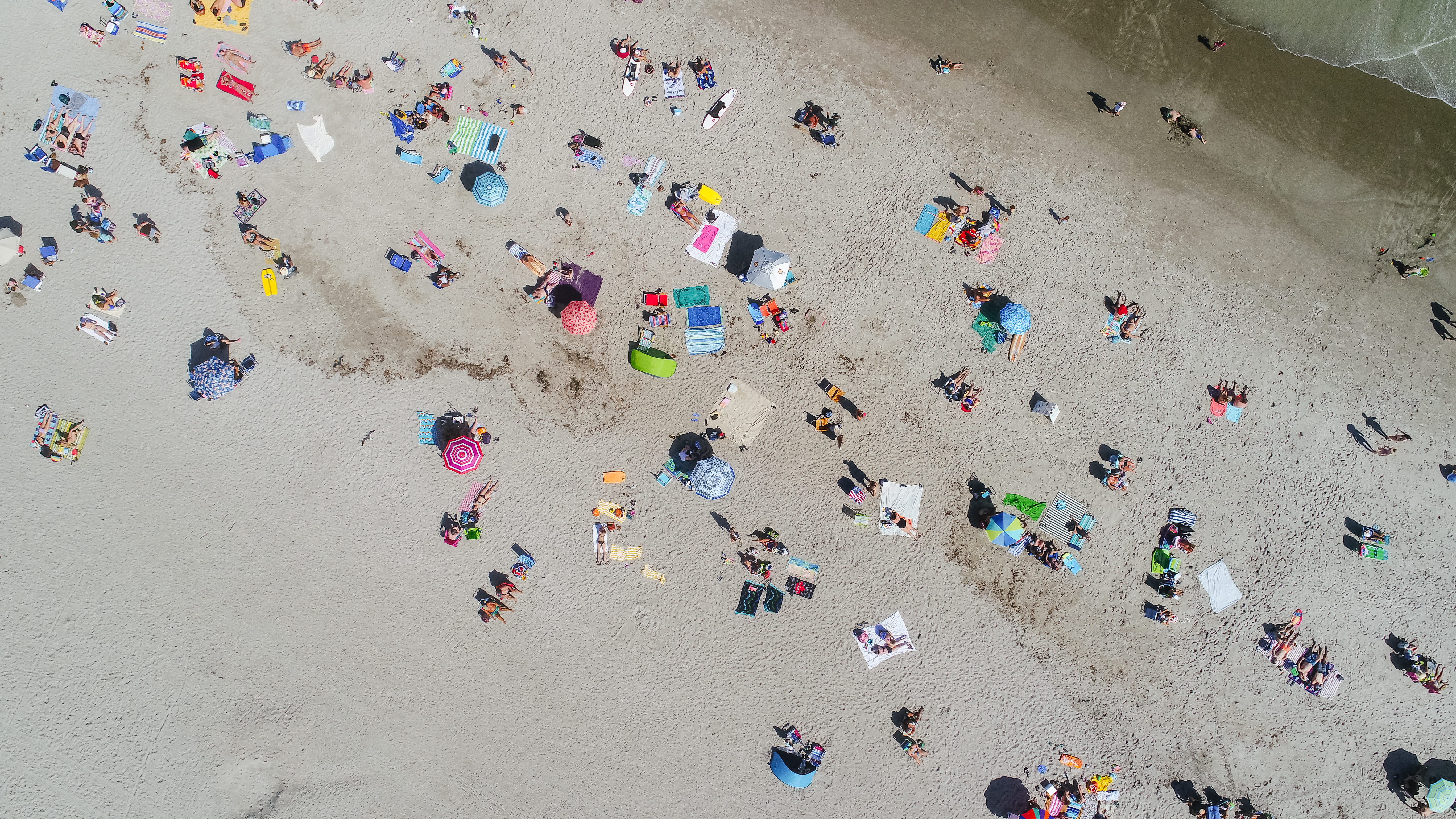 sunbather, summer, drone, women, 5K, photo, vacations, drone view, outdoors, enjoyment, high angle view, land, photography, busy, day, people, aerial, HD Wallpaper