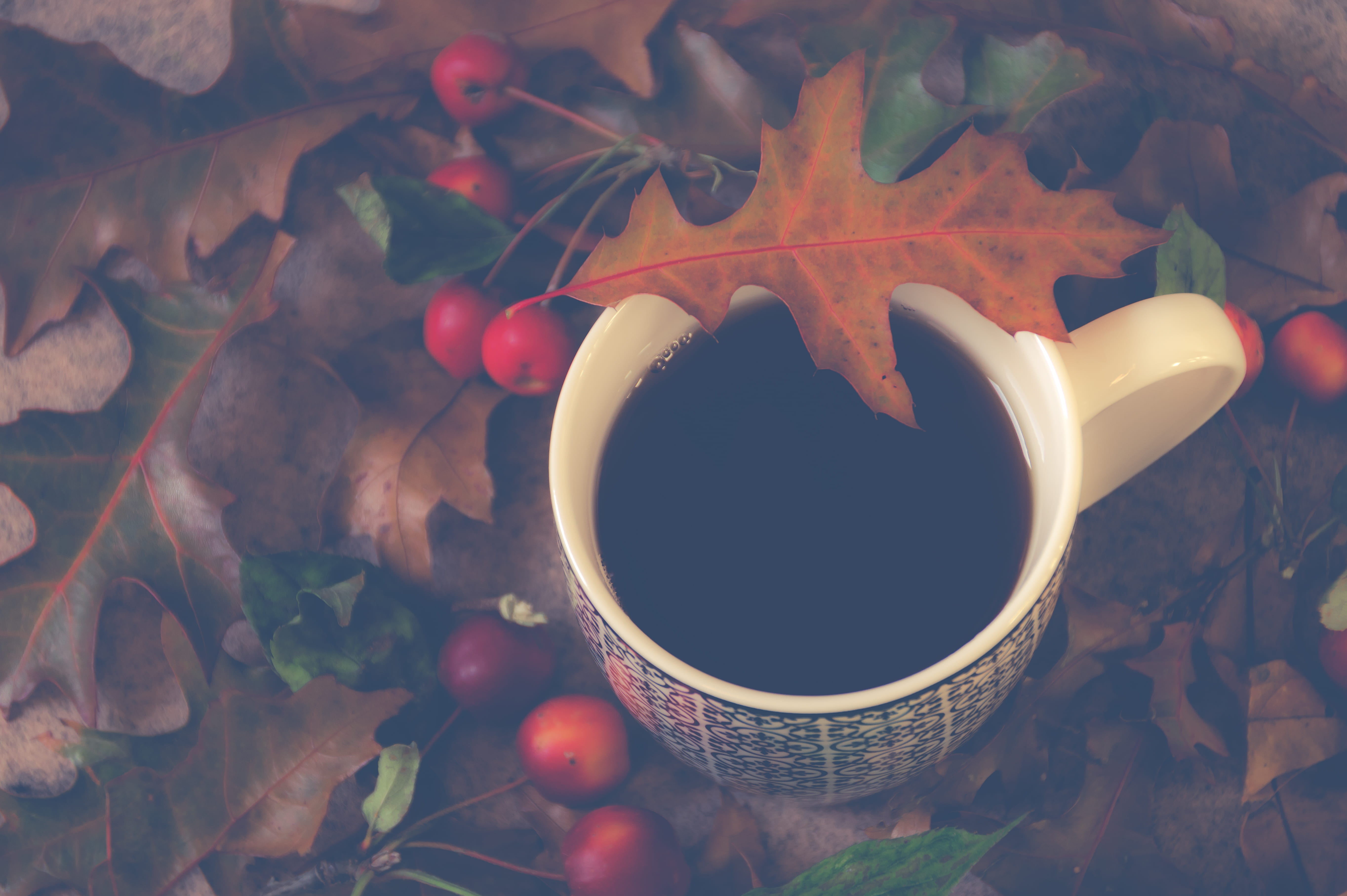leaves, colors, no people, gold, food, environment, plant, food and drink, tea cup, cherries, nature, drink, plant part, coffee cup, tea, coffee - drink, HD Wallpaper