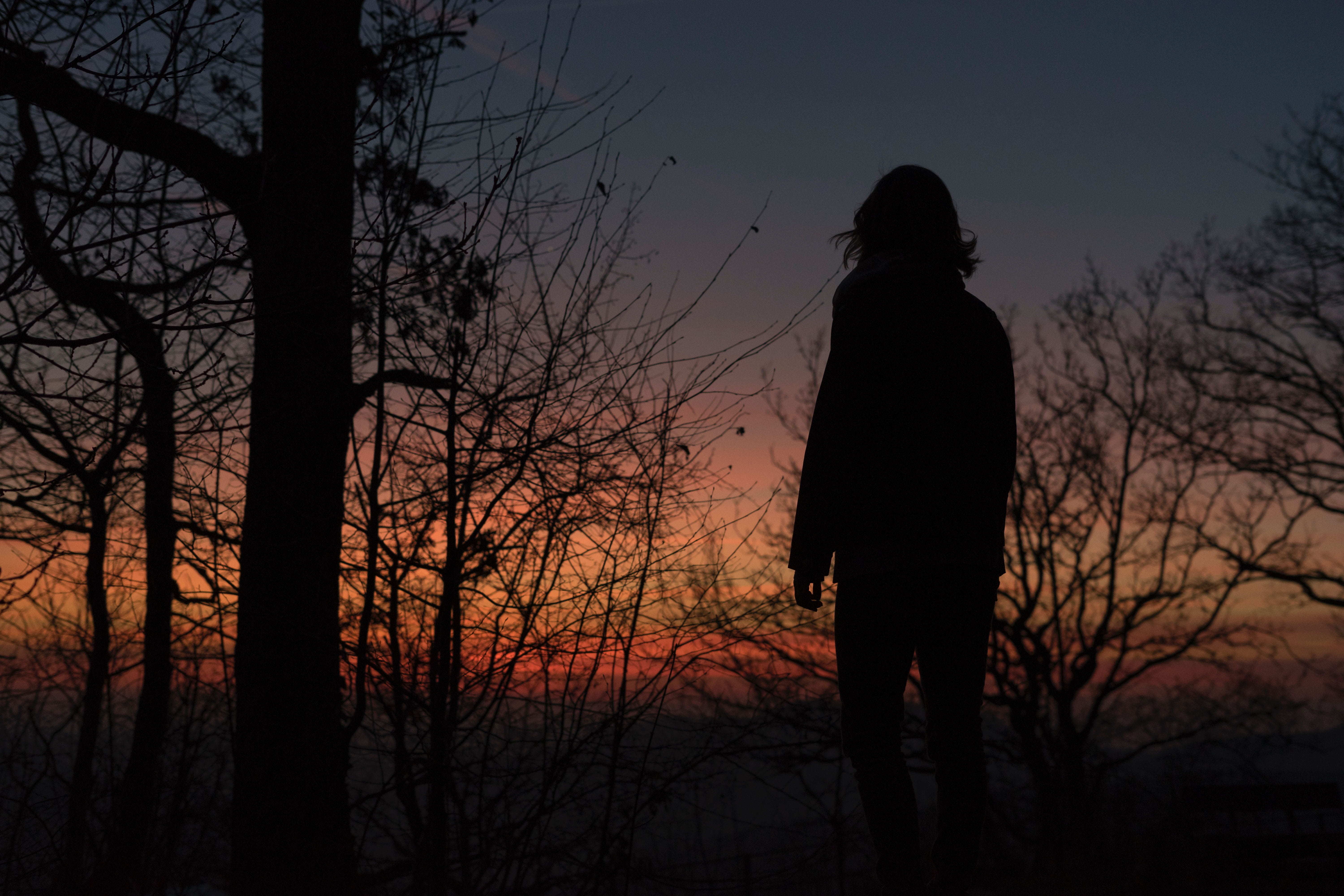 land, plant, trees, standing, man, hill, silhouette, tranquility, tranquil scene, real people, nature, bare tree, forest, 5K, outdoors, tree, sunset, beauty in nature, HD Wallpaper