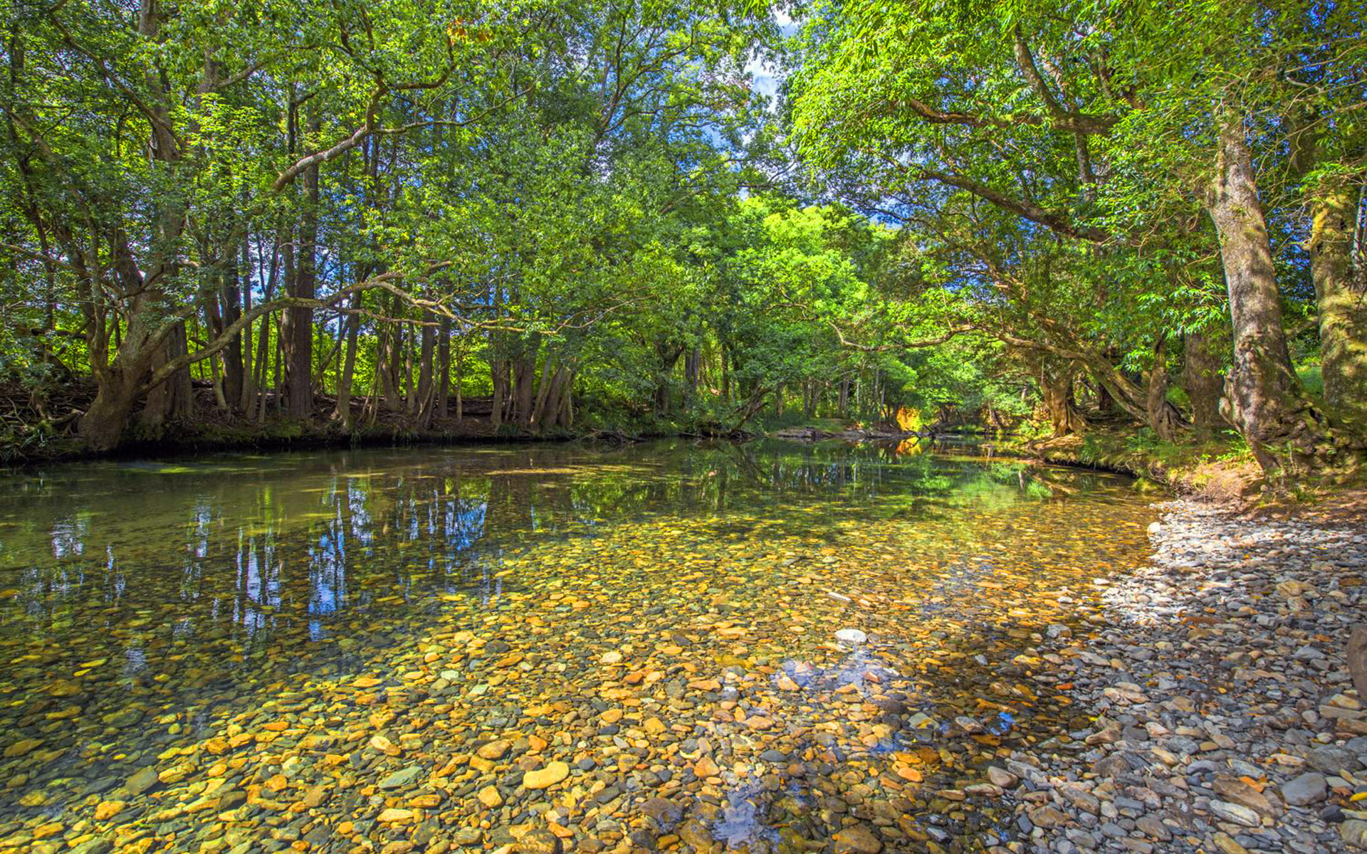  landscape, green, desktop, south, hd, australia, rosewood, gravel, leaves, water, clear, bellingen, reflection, 1080P, river, new, trees, wales, HD Wallpaper