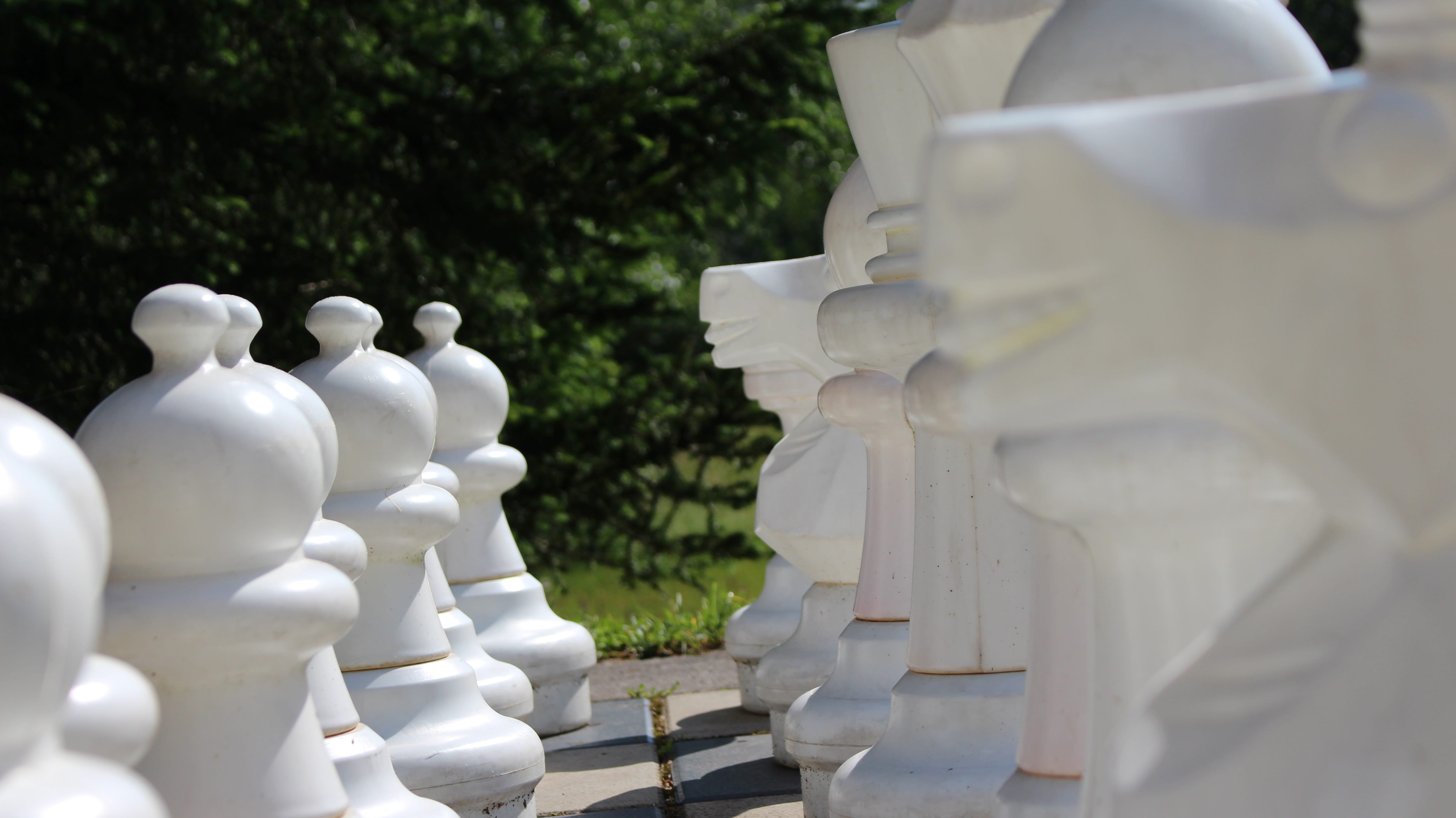 chess, black, human representation, 3d, xxl, day, playing field, queen, bauer, tree, representation, outdoors, nature, white color, male likeness, sculpture, HD Wallpaper