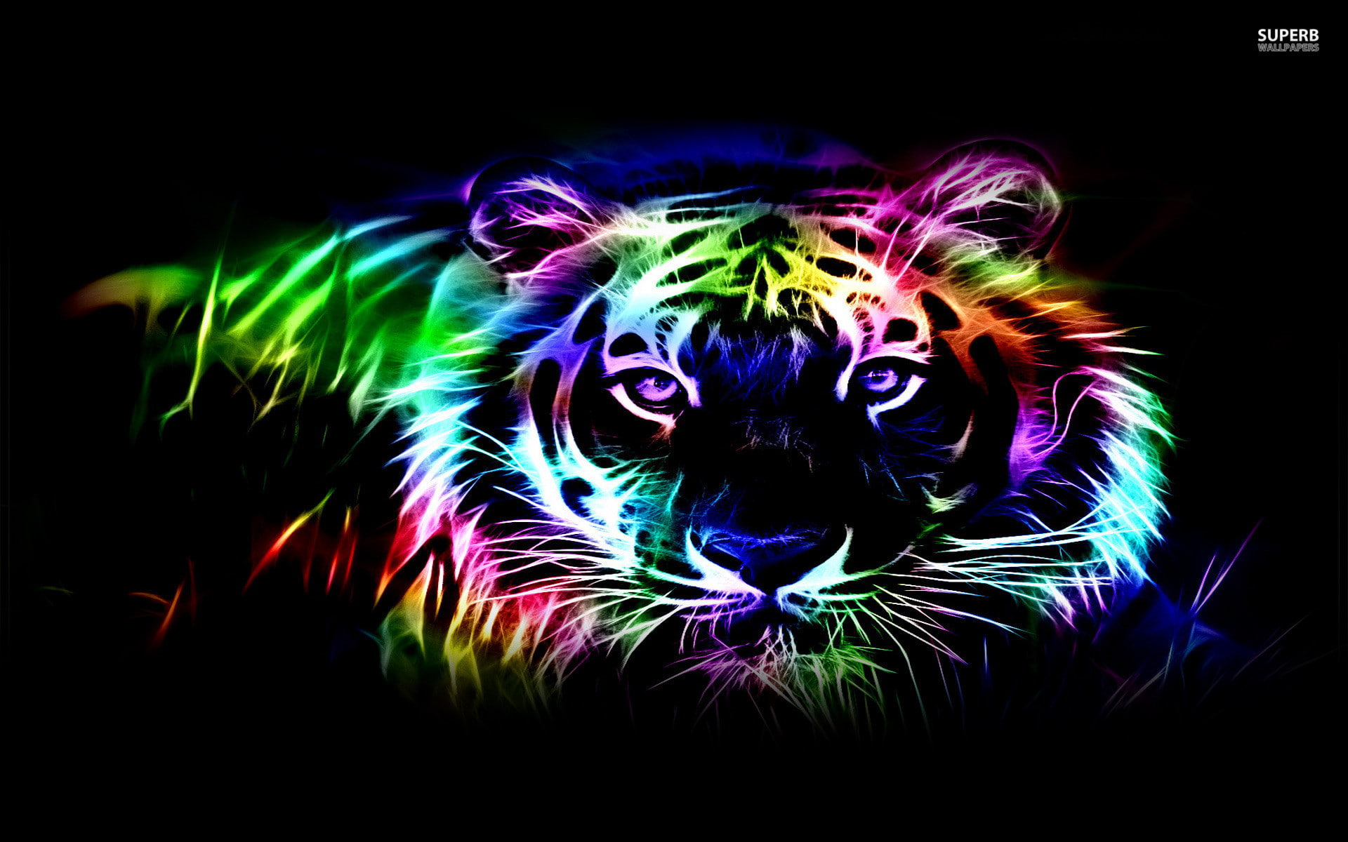 4K, outline, hd, neon, 1080P, tiger, 1920x1200, digital art, HD Wallpaper