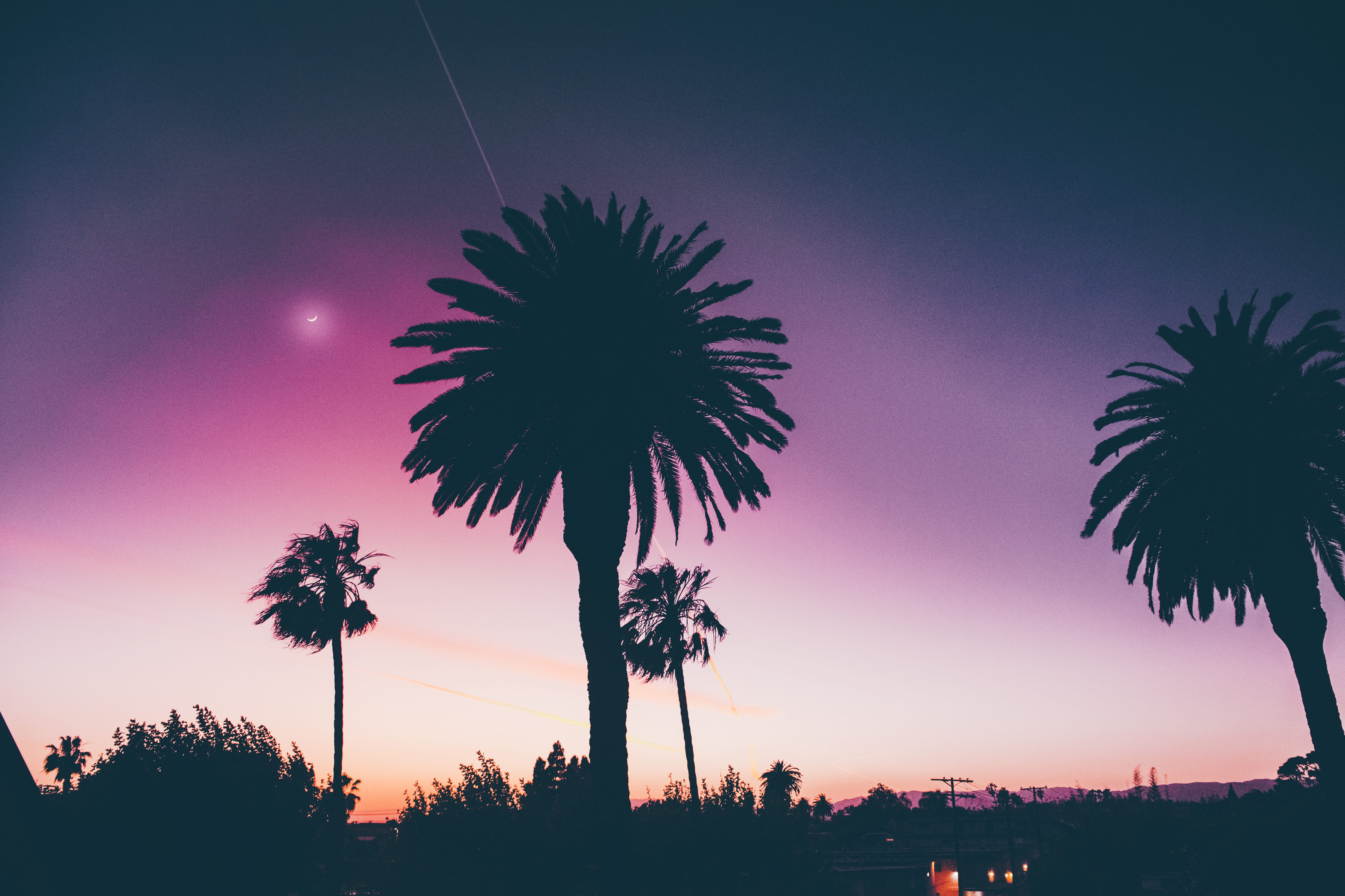 beauty in nature, tropical climate, illuminated, scenics - nature, color, palm tree, nature, plant, sky, tree, sunset, tranquility, silhouette, growth, HD Wallpaper