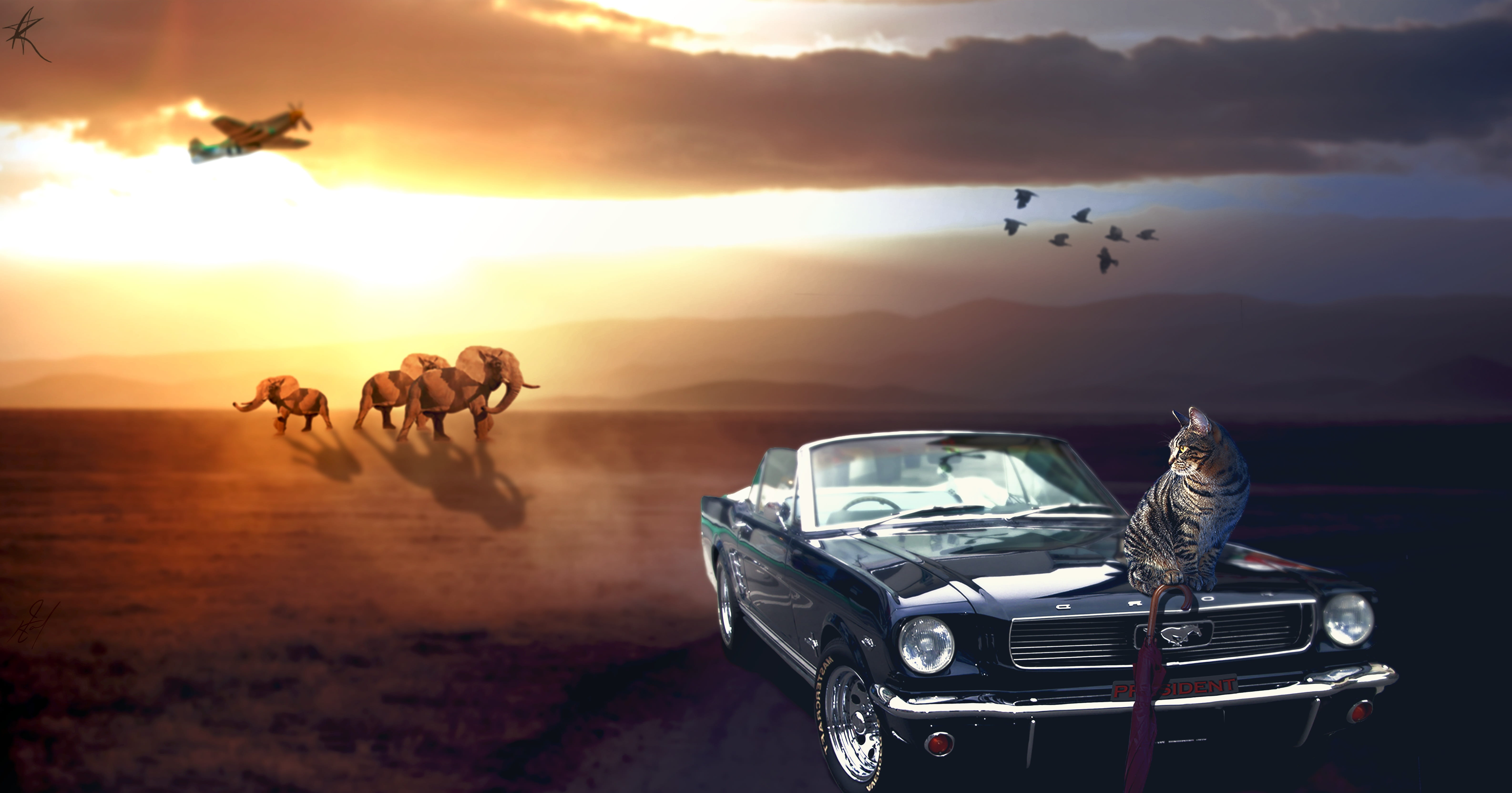 mode of transportation, flying, outline, mustang, medium group of animals, wildlife, animal wildlife, 5K, motor vehicle, light, animal themes, sunset, HD Wallpaper