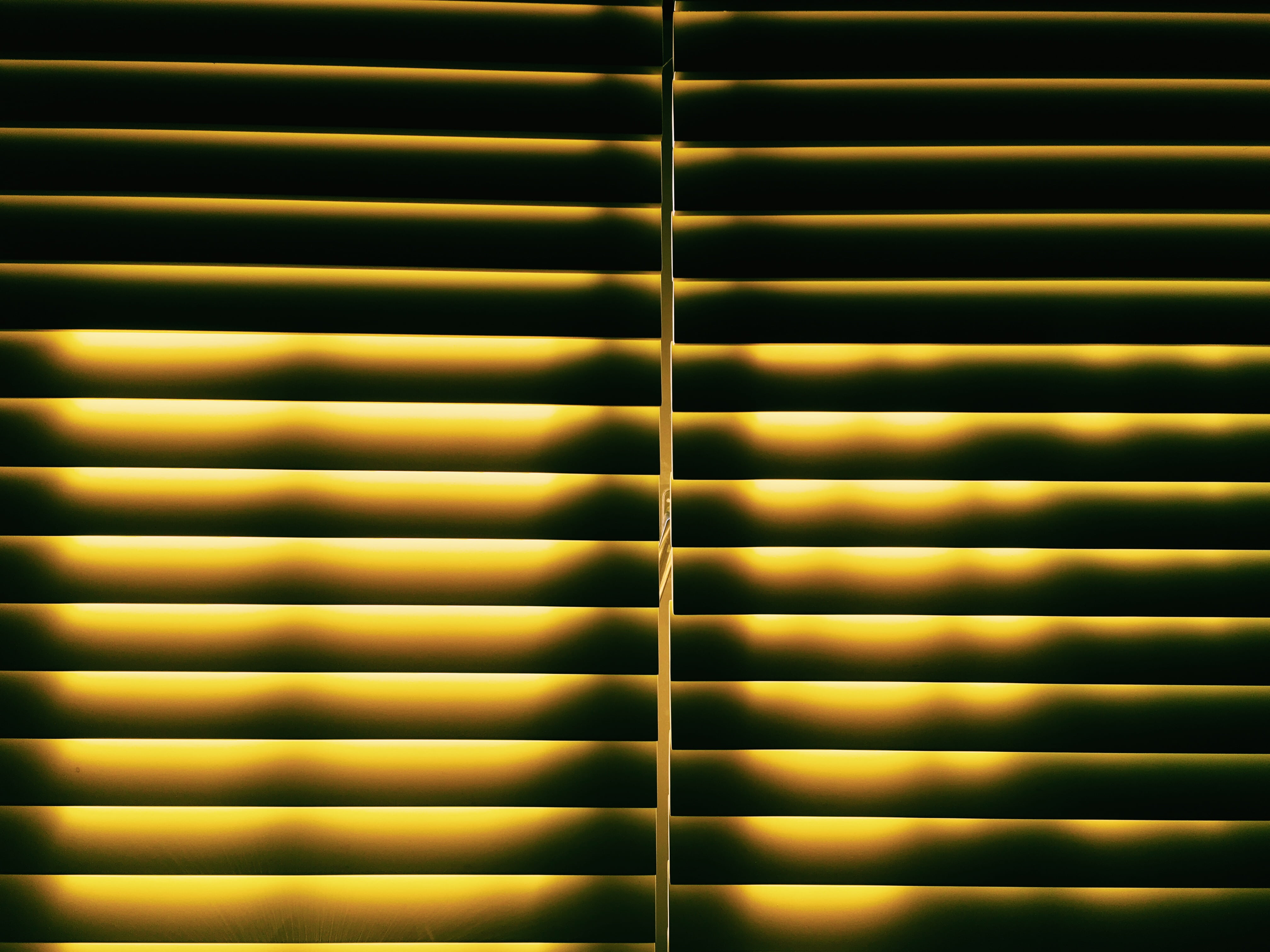 green color, repetition, side by side, blinds, yellow, light, window, nature, room, no people, plant part, plant, indoors, security, full frame, in a row, HD Wallpaper