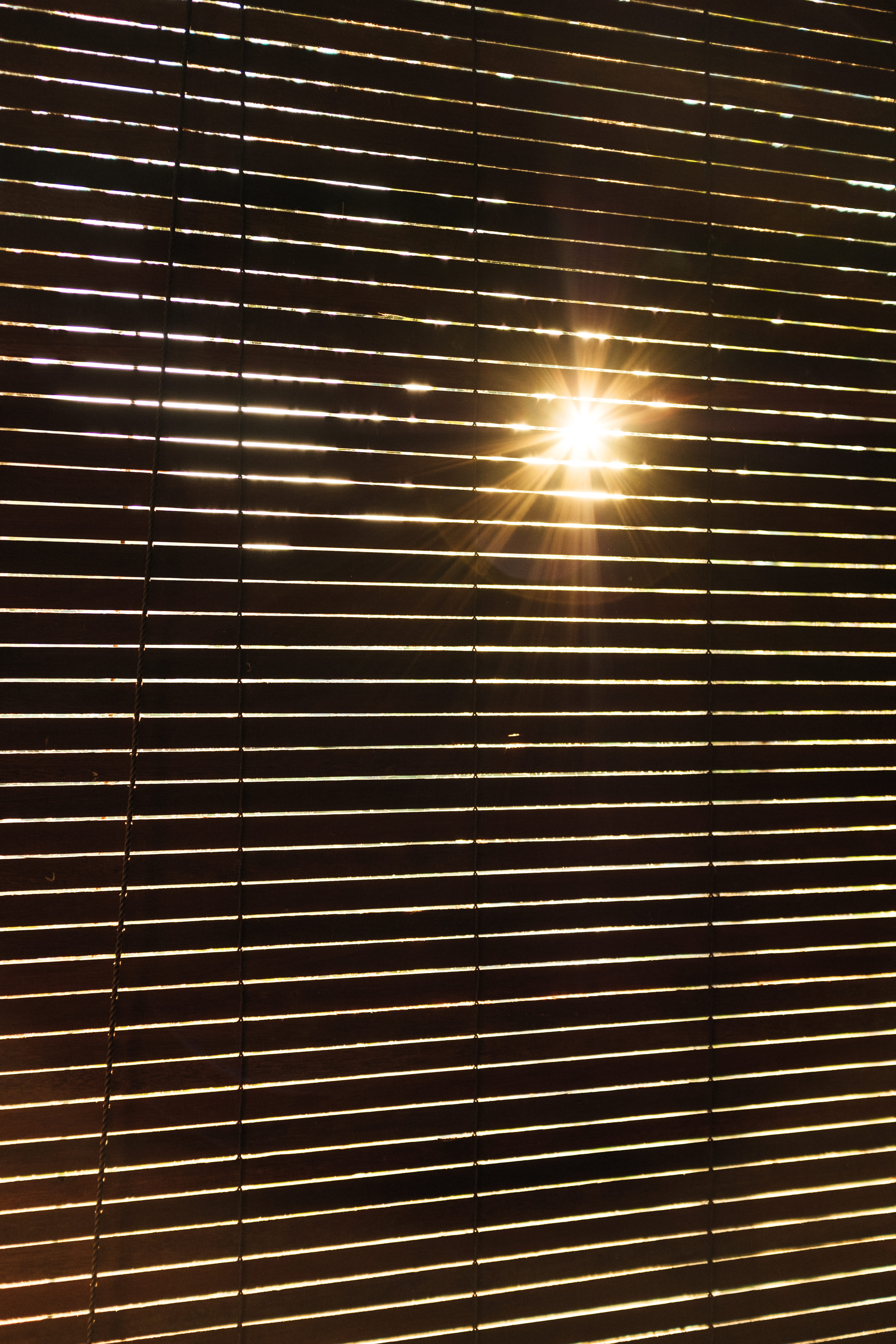sunlight, architecture, window, future, indoor, close-up, low angle view, background, lens flare, security, metal, interior, repetition, day, black, 5K, Phone HD Wallpaper