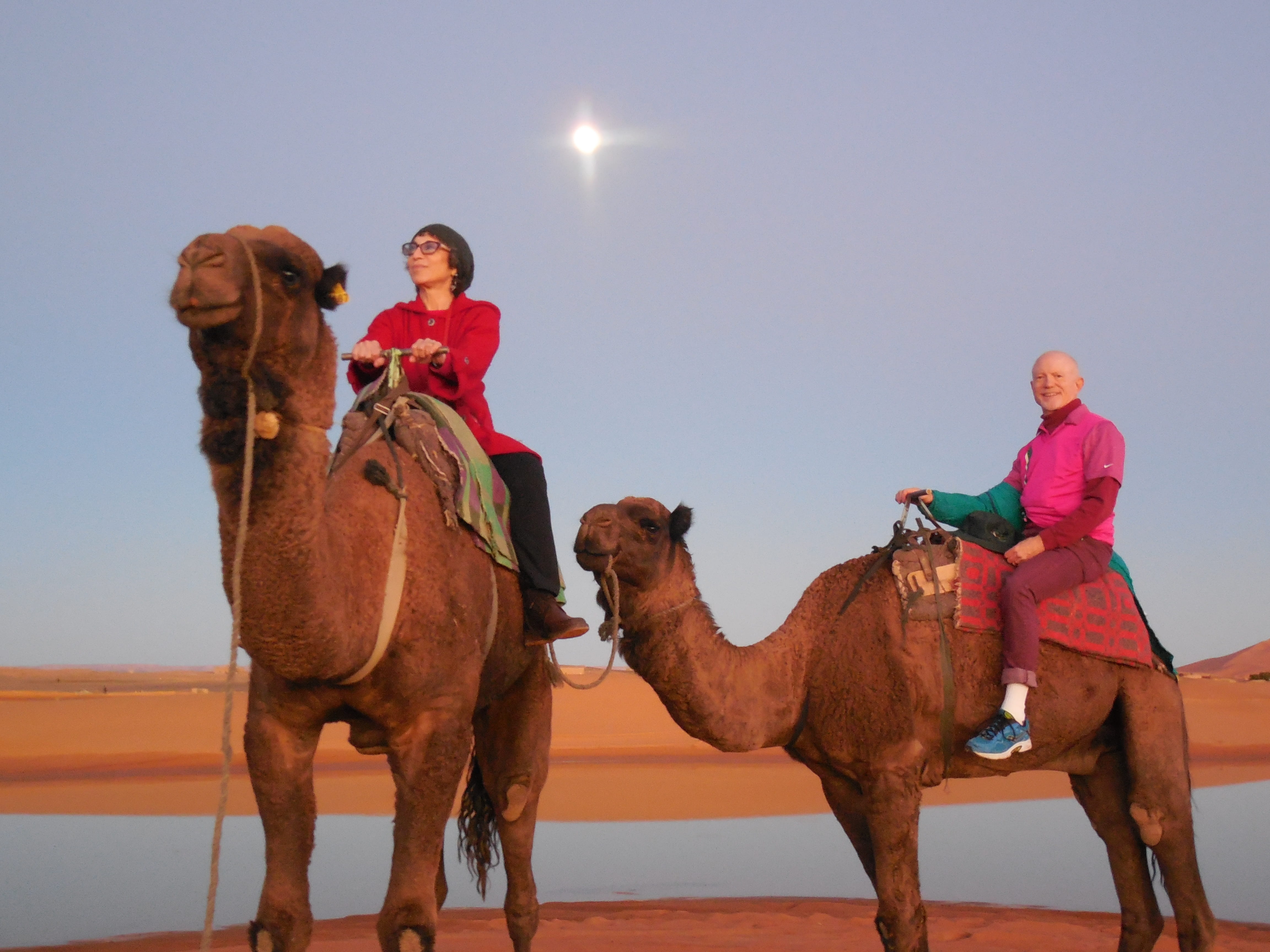 men, women, culture, camel, Camels, domestic, sand, one animal, pets, nature, real people, adult, sahara, mammal, ride, Morocco, people, rabat morocco, HD Wallpaper