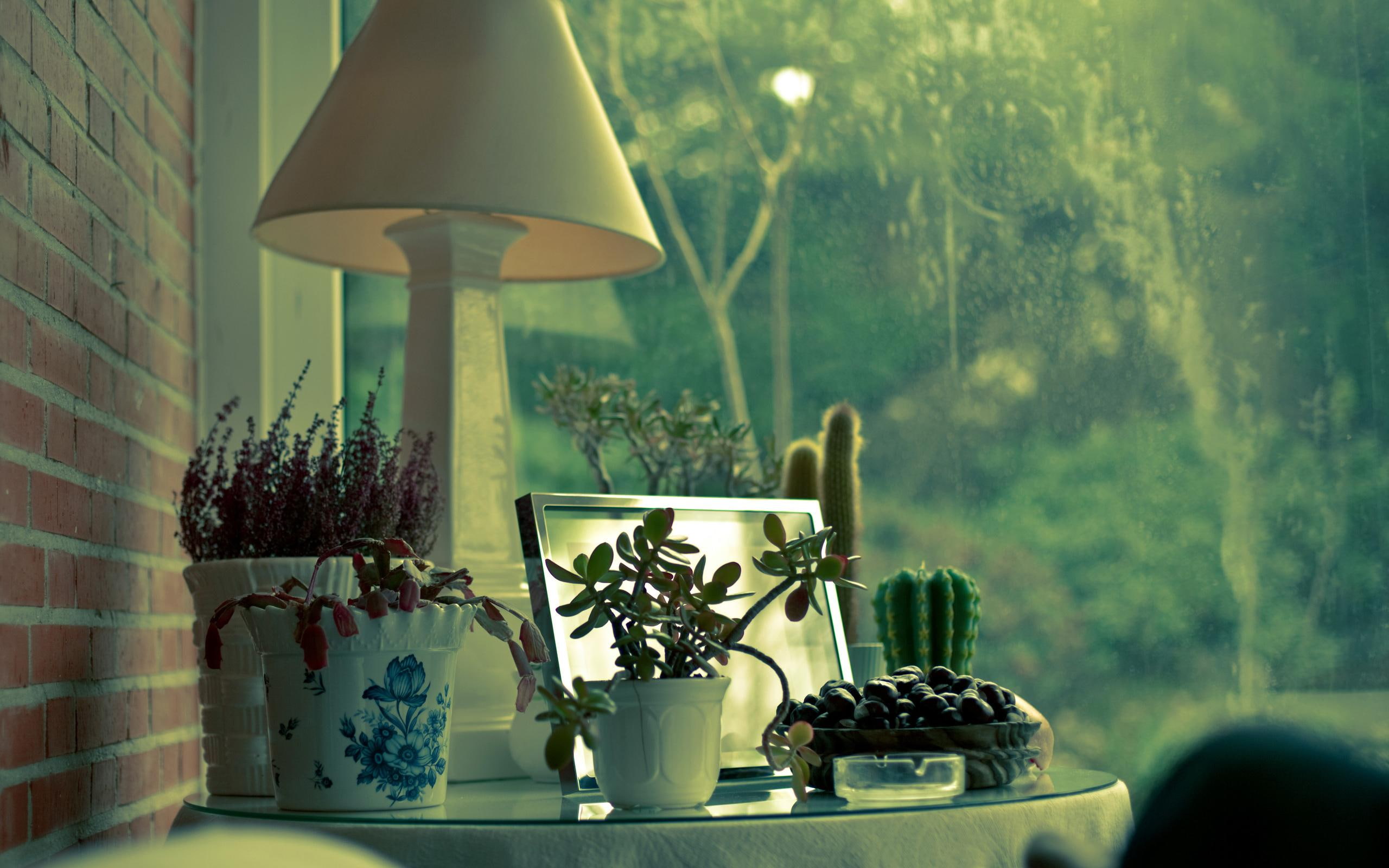 harmony, flowers, house, corner, rain, peace, window, 2K, lamp, 3d and abstract, peaceful, HD Wallpaper