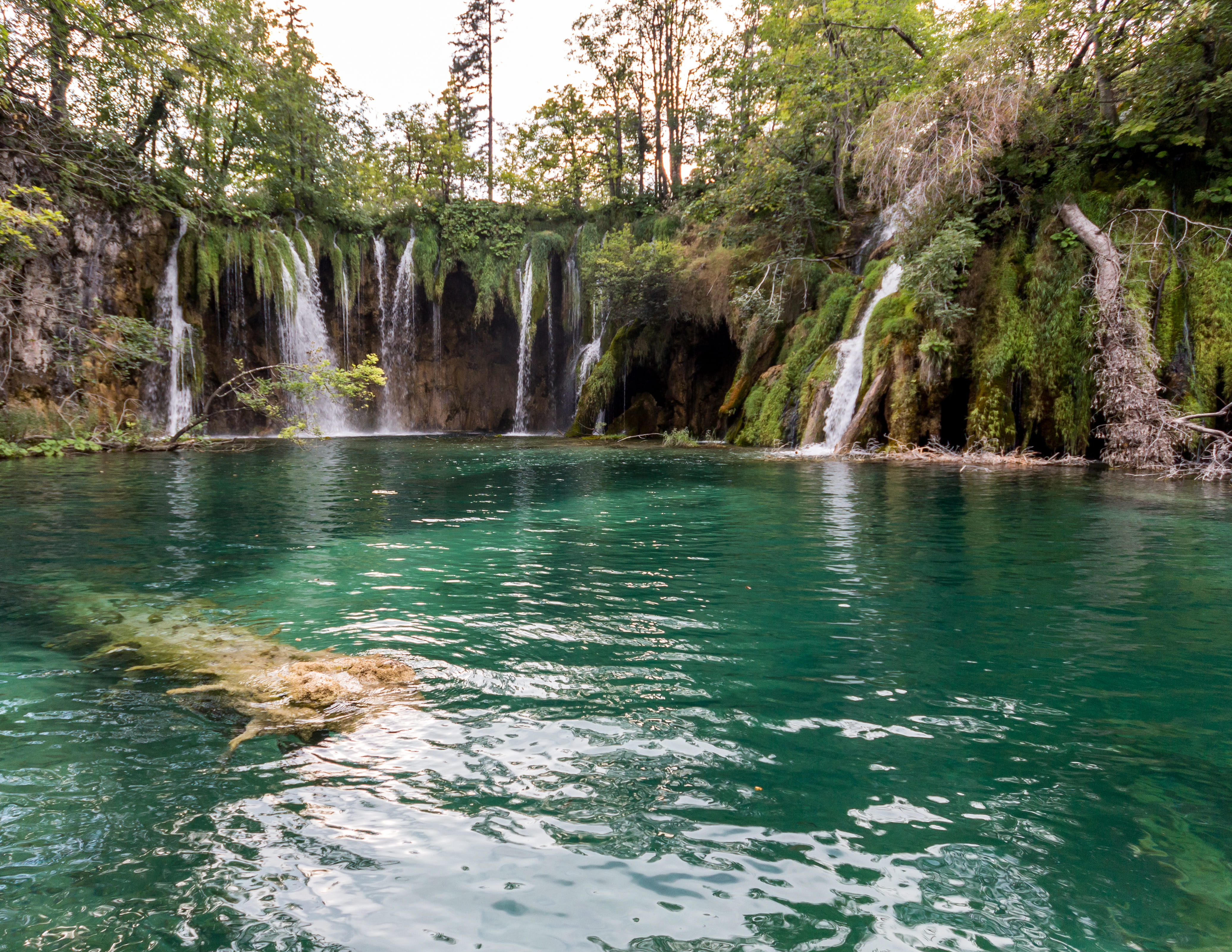 flowing, beauty in nature, plitvice lakes, land, forest, no people, tranquil scene, summer, europe, tree, water, trip, canon, croatia, waterfall, growth, HD Wallpaper
