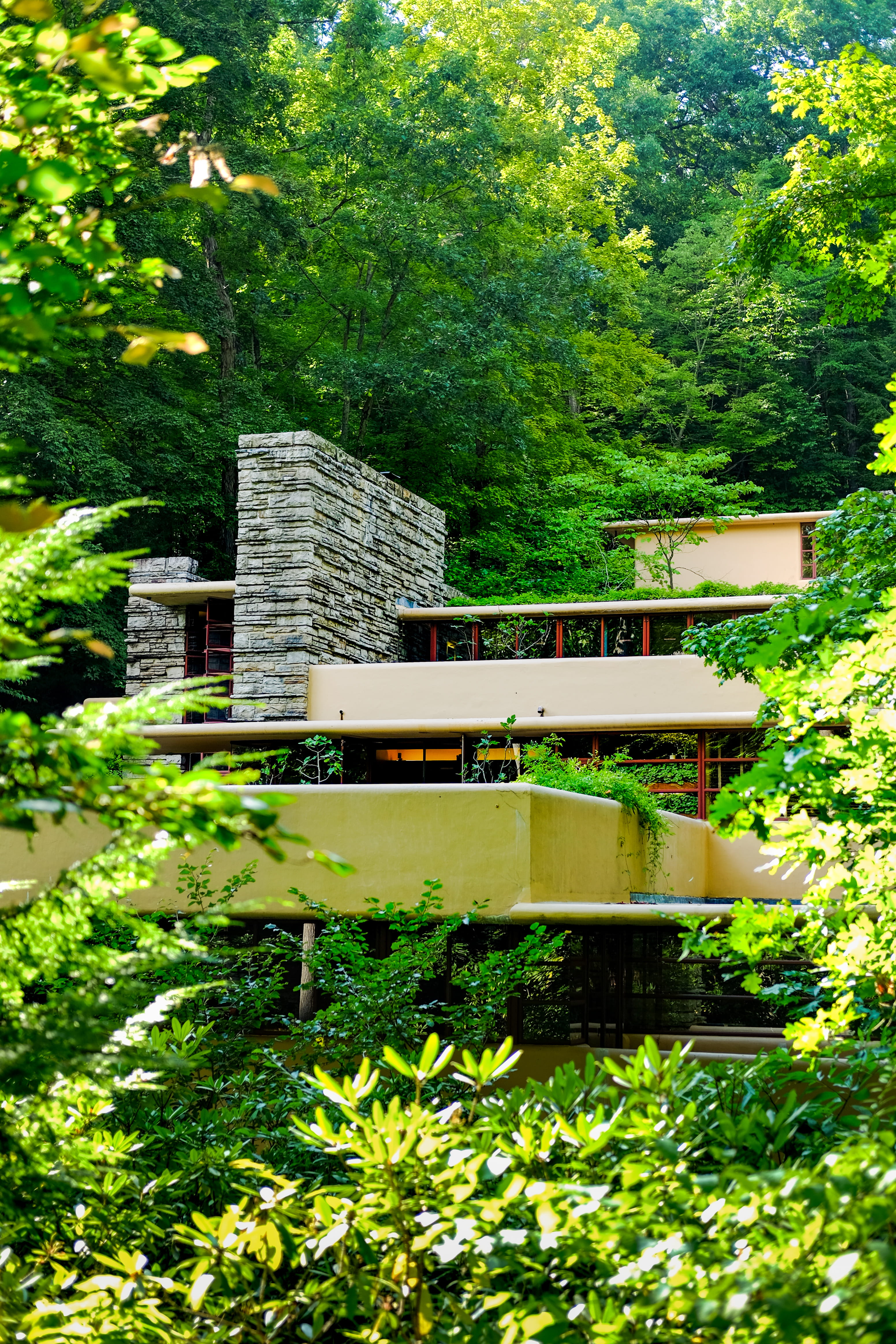 fallingwater, plant, trees, harmony, waterfall, day, growth, united states, foliage, cantilever, bench, warm, architecture, building, seat, no people, tree, Phone HD Wallpaper