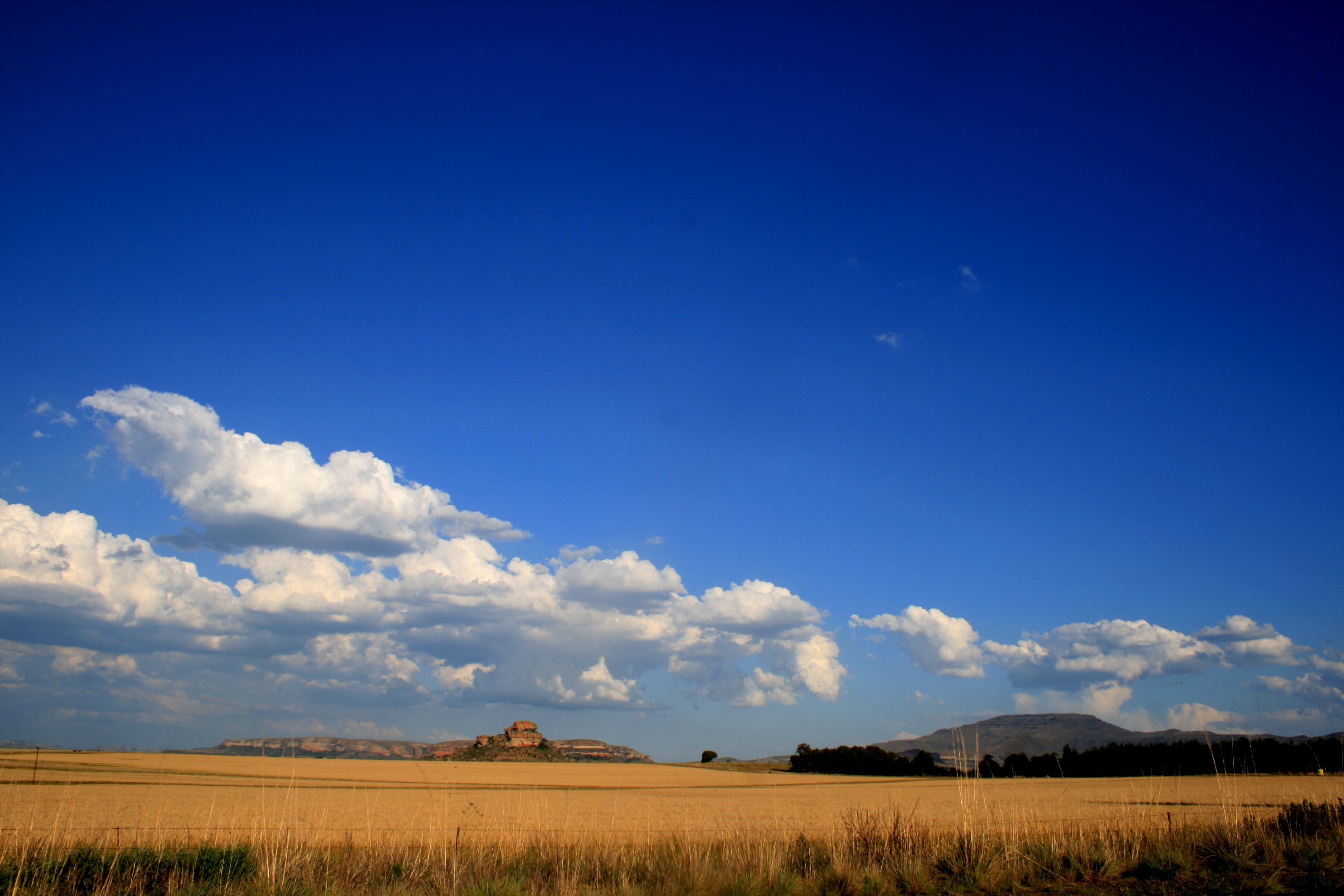 tranquility, agriculture, far off mountains, summer, no people, veld, scenics - nature, field, grass, scenics, beauty in nature, copy space, environment, HD Wallpaper