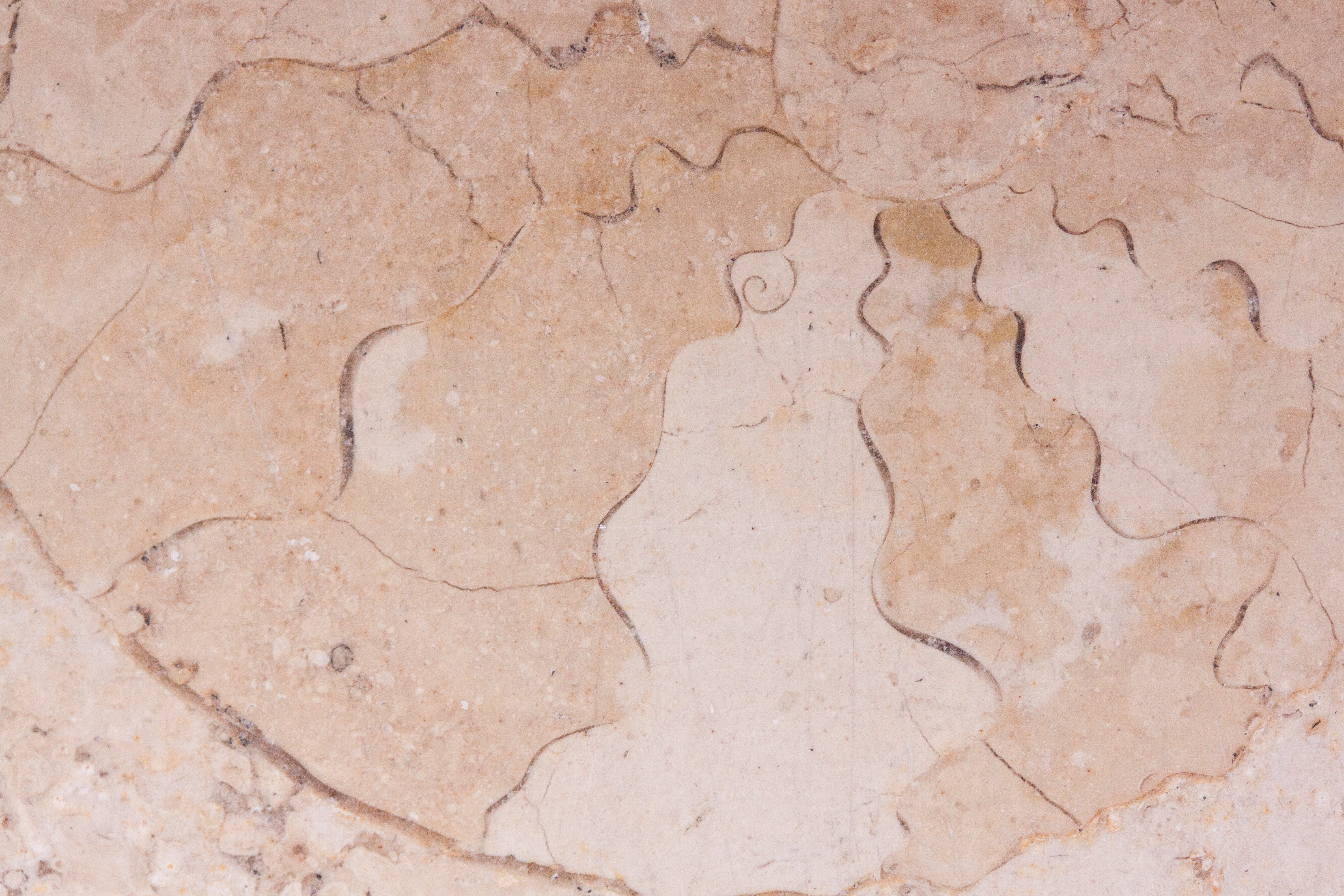jura, petrification, outdoors, climate, wall - building feature, cracked, fossil, no people, sea, abstract, cream colors, high angle view, fossil nautilus, HD Wallpaper