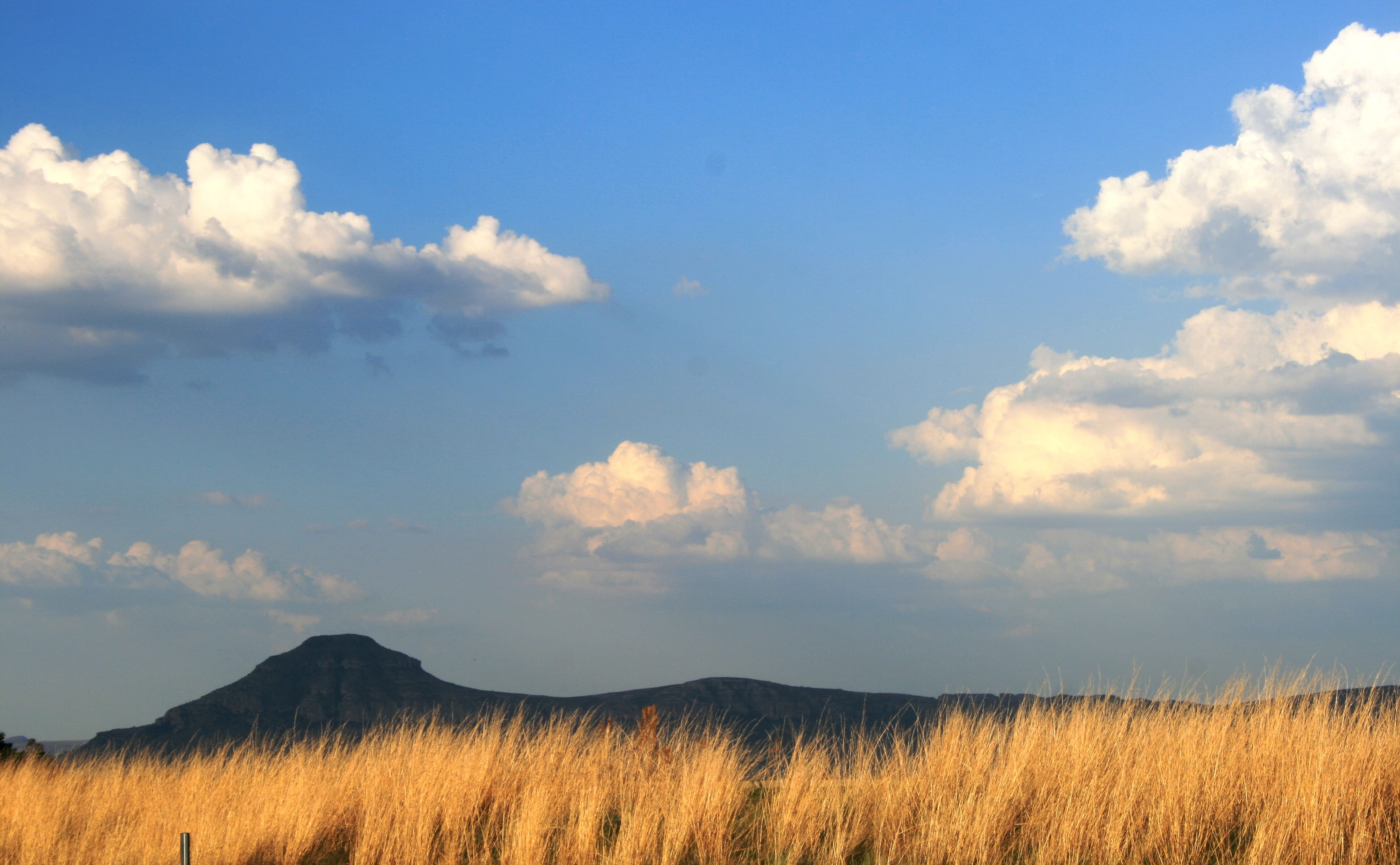 cloud - sky, beauty in nature, nature, grass, landscape, cloudscape, non-urban scene, growth, sky, mountain, environment, tranquil scene, scenics - nature, HD Wallpaper