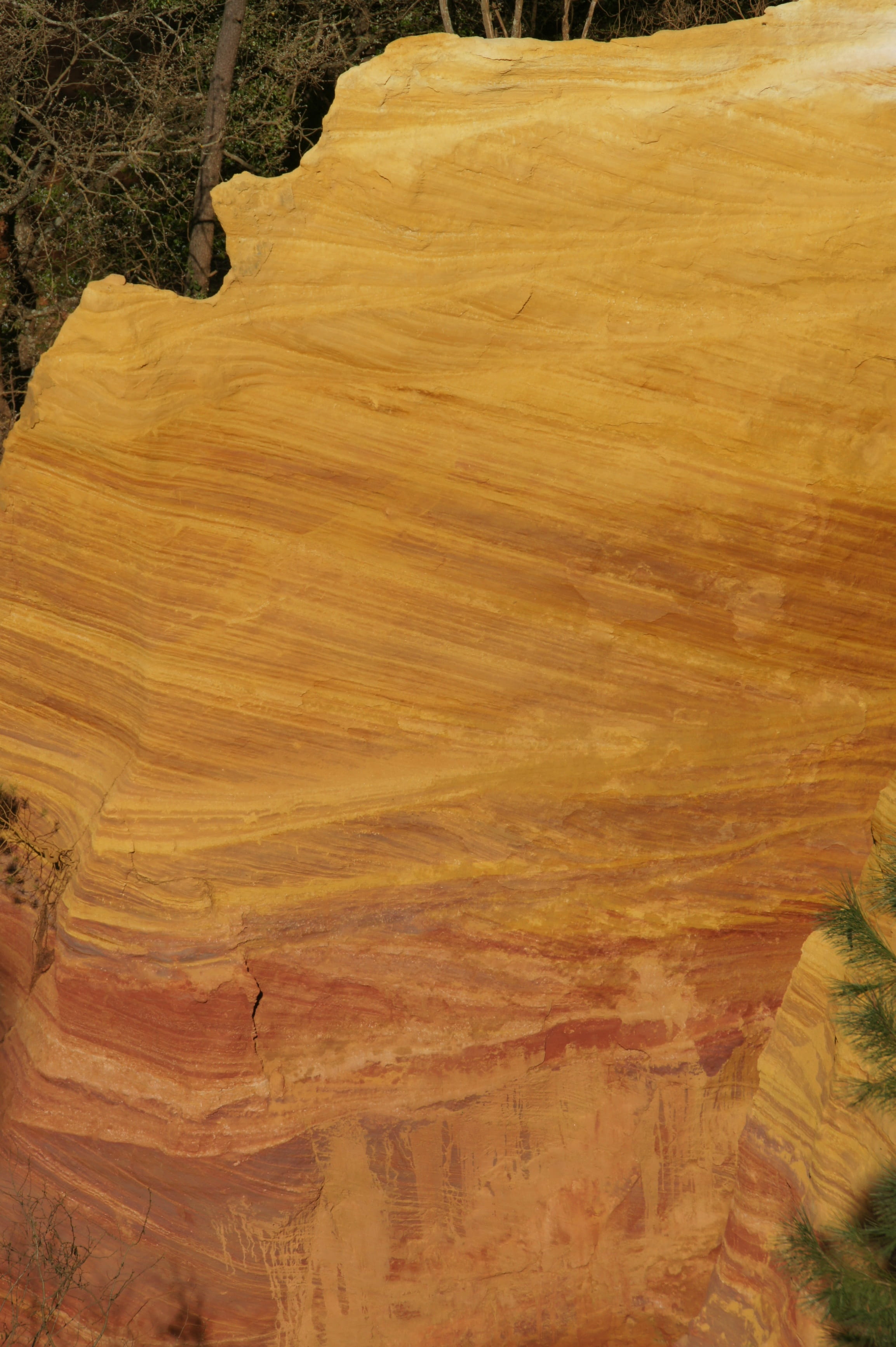 2K, arid climate, tree, backgrounds, sandstone, rock, earth, ochre, full frame, nature, land, day, outdoors, rock formation, tranquil scene, beauty in nature, Phone HD Wallpaper